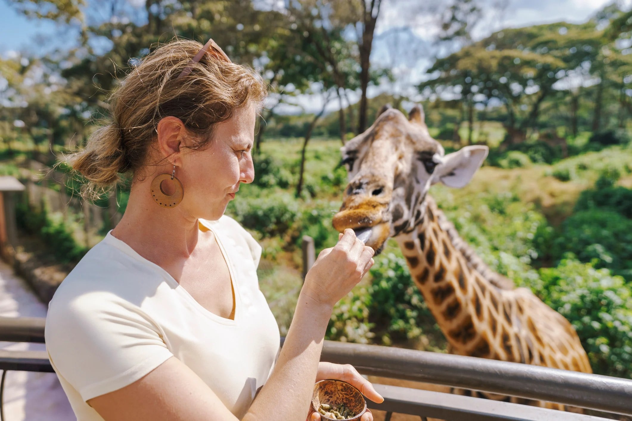 A woman feeds a giraffe from a balcony in a lush outdoor setting.