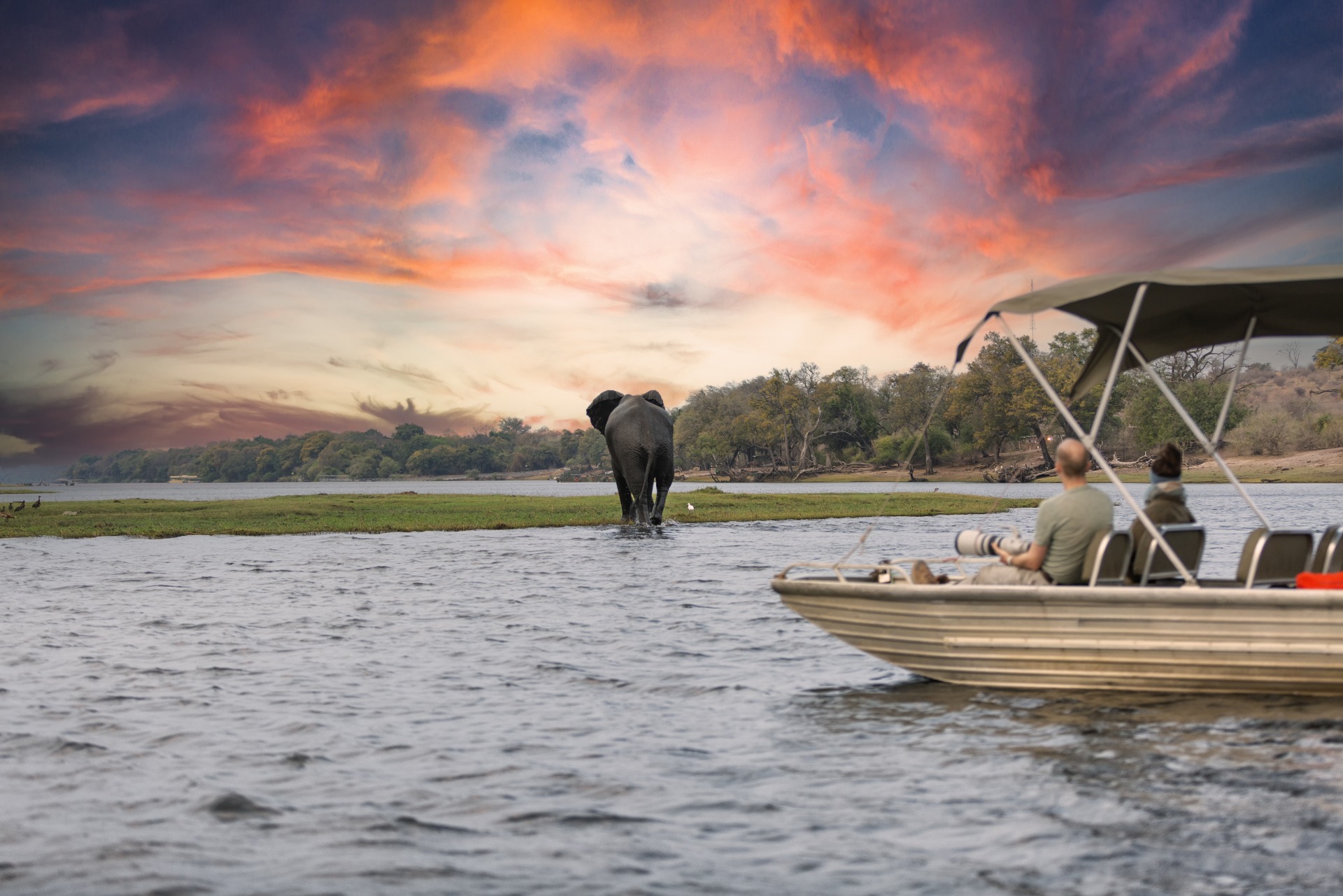 A boat with two people floats on water, watching an elephant near the shore during a colorful sunset.