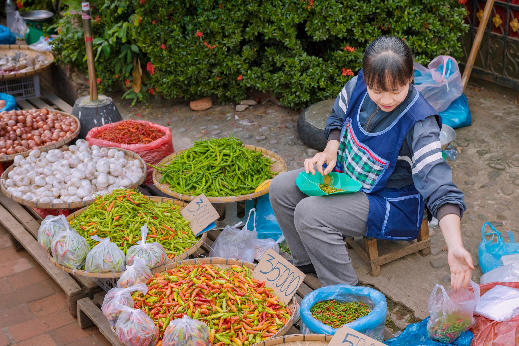 A vendor sits among colorful baskets of vegetables and spices at a market, sorting and preparing fresh produce.