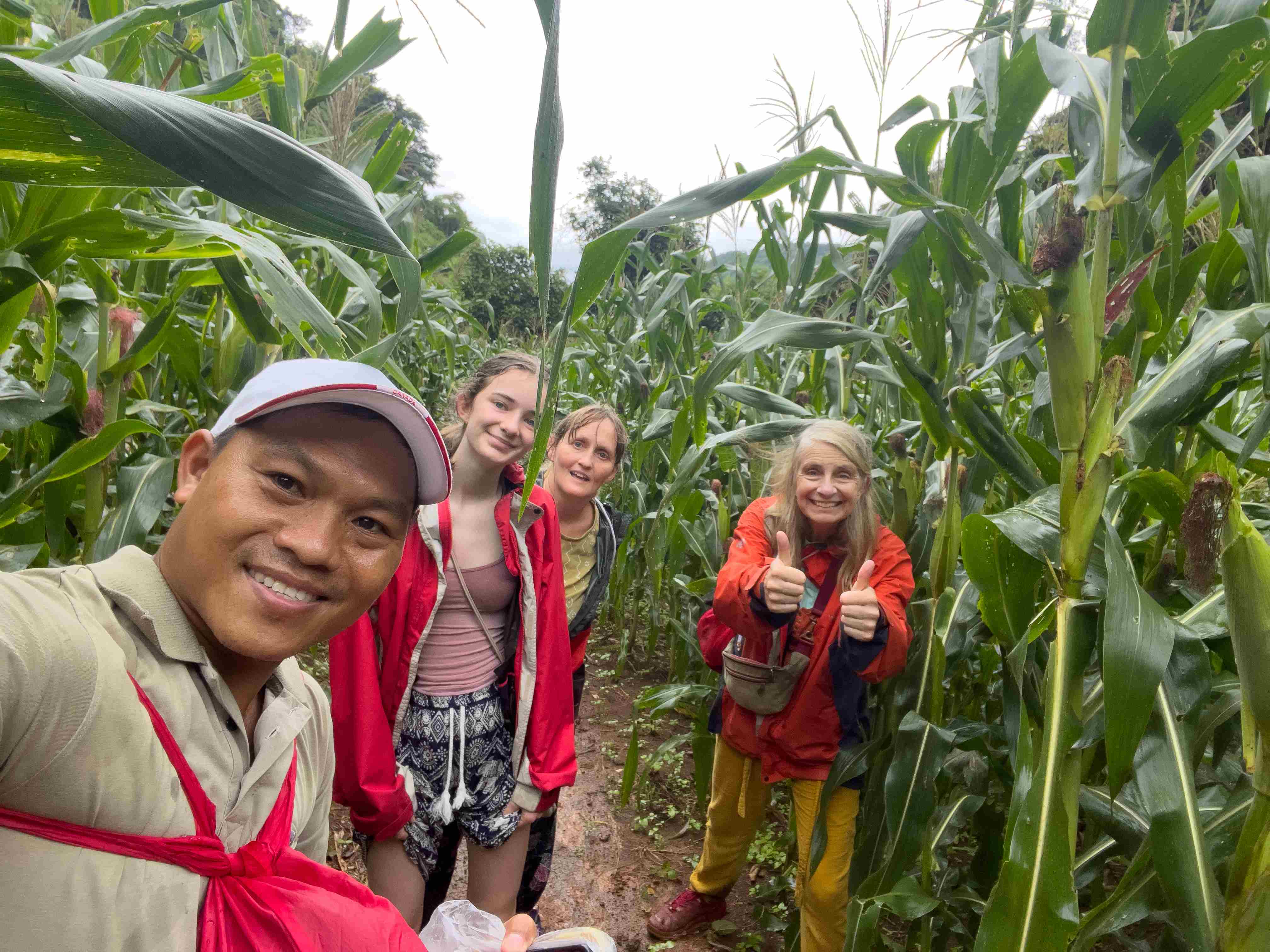 A group of four people smiling in a cornfield, surrounded by tall corn plants on a cloudy day.