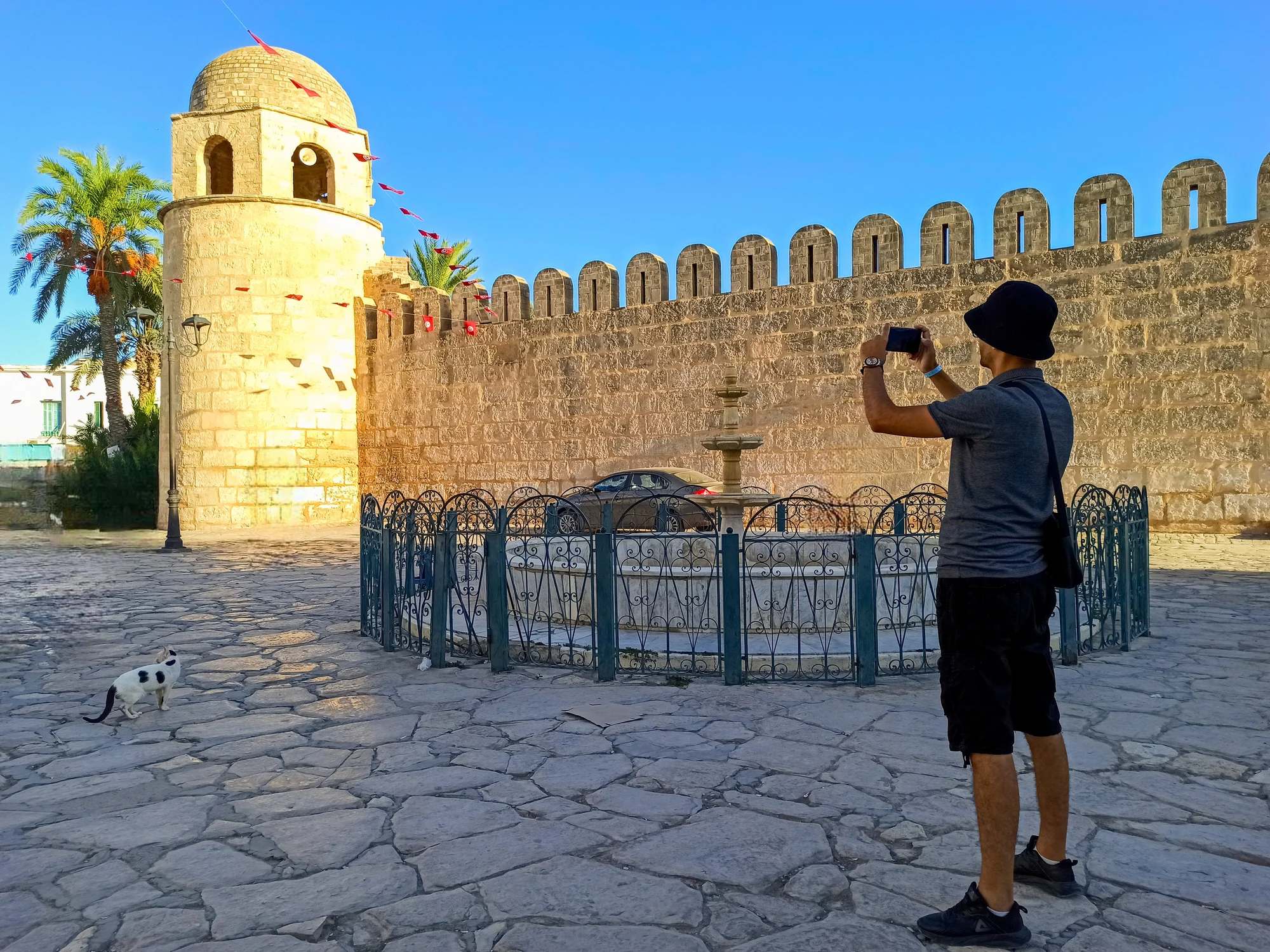 A person takes a photo of a stone tower near a fountain, with palm trees and a cat nearby.