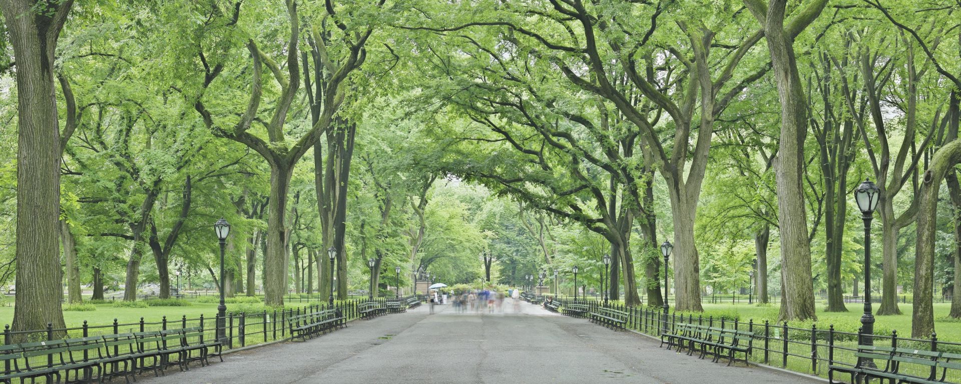 New York The Central Park Mall in New York City is a pedestrian pathway running through the middle of Central Park to Bethesda Terrace