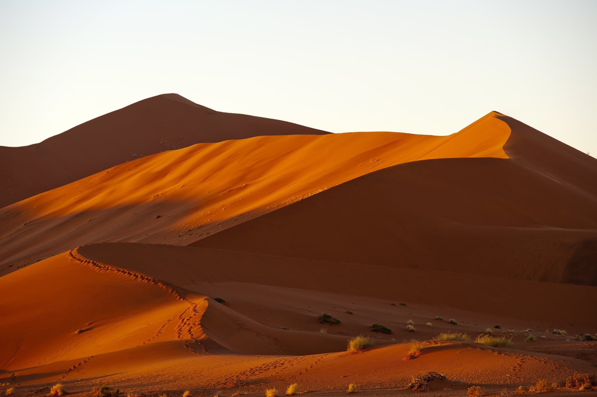 Big Daddy dune early in the morning
