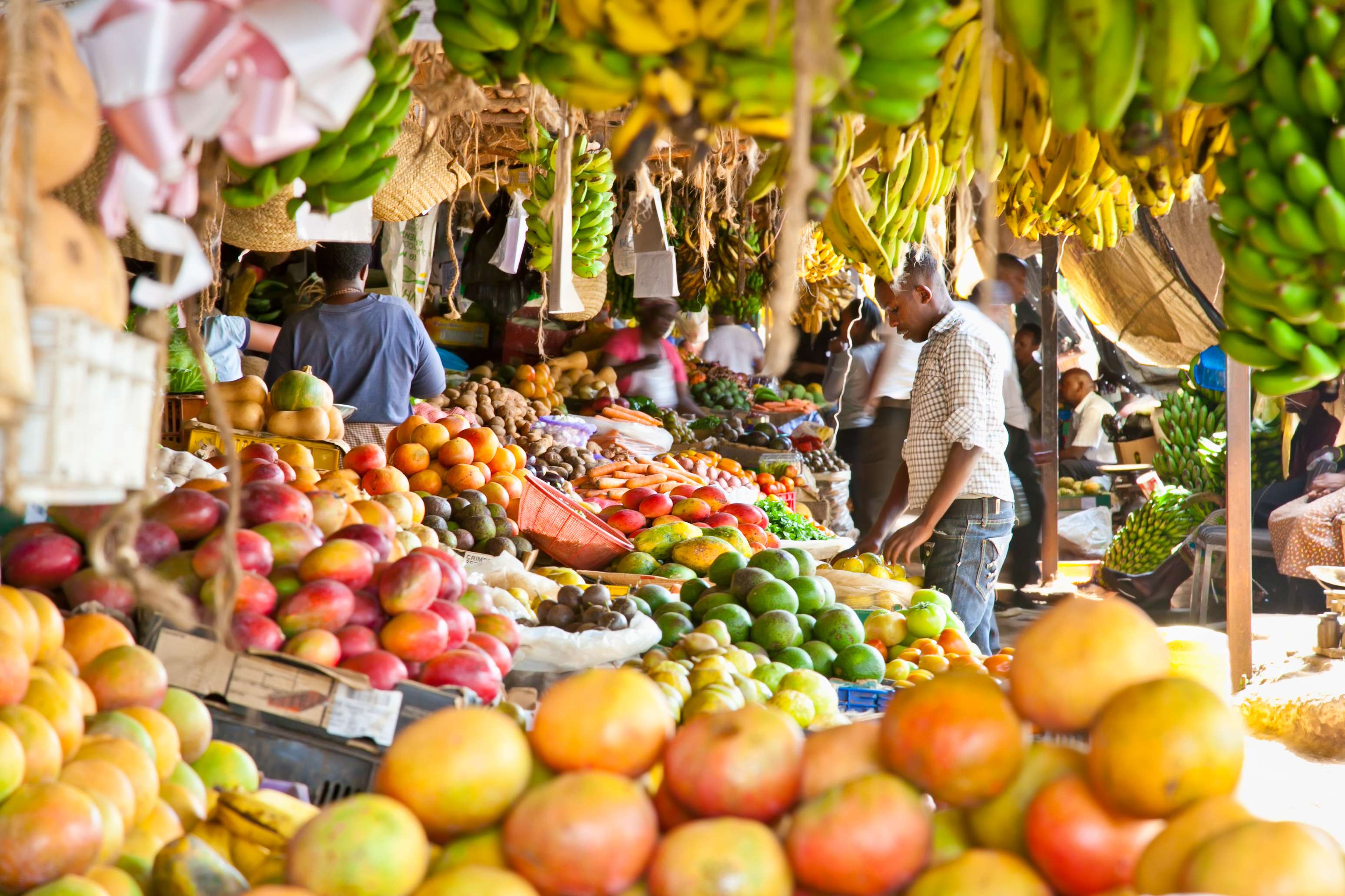 A vibrant market stall filled with various fruits and vegetables, with shoppers browsing under a canopy of greenery.