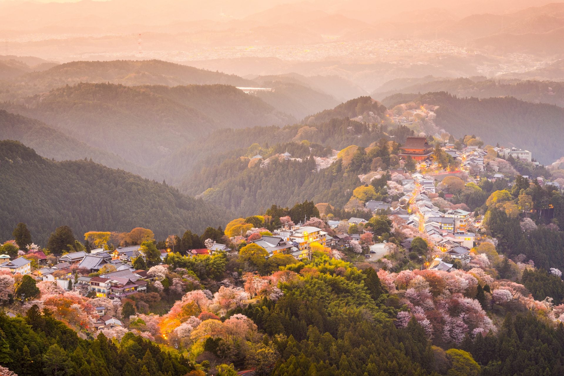 Yoshinoyama, Nara, Japan aerial view of town on the hillside and cherry trees during the spring season