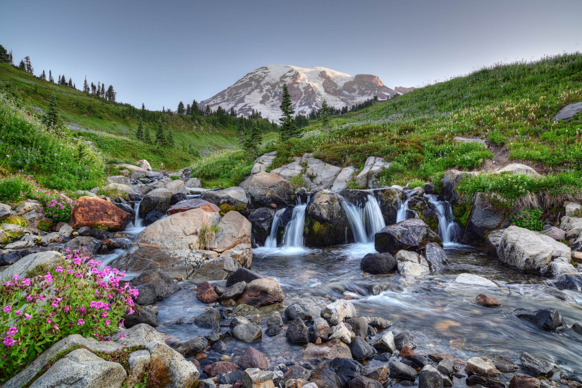 Mount Rainier Mount Rainier in the summer with small waterfall and flowers in foreground