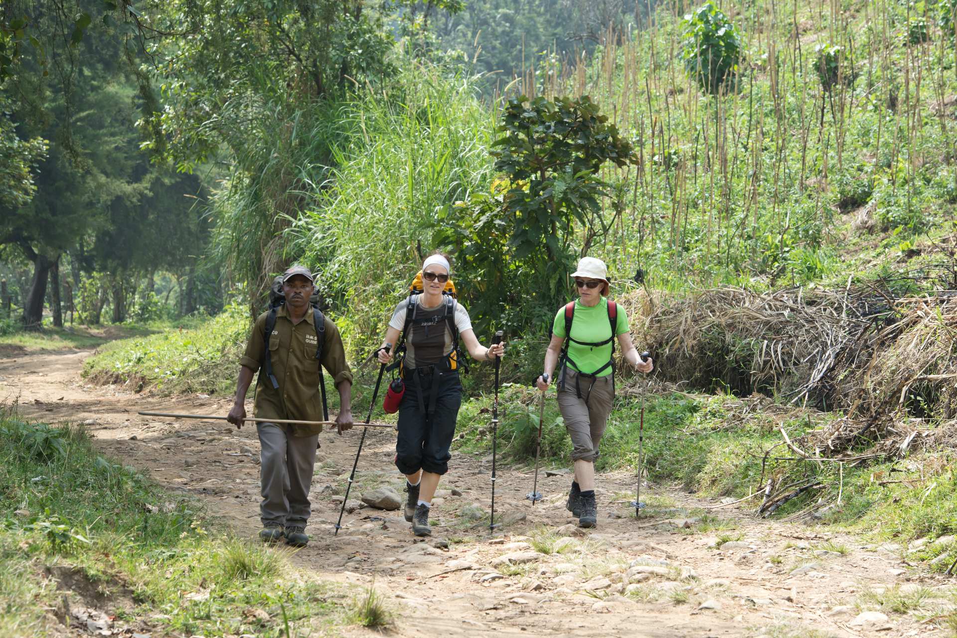 Three hikers walking along a dirt path in a wooded area, surrounded by greenery and gentle hills.