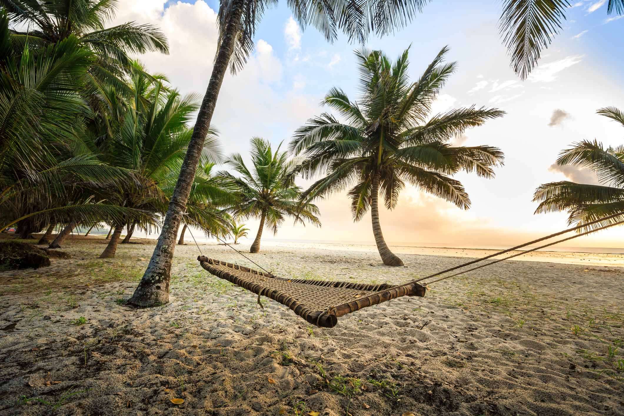 A serene beach scene with a hammock strung between palm trees, overlooking the ocean at sunrise.