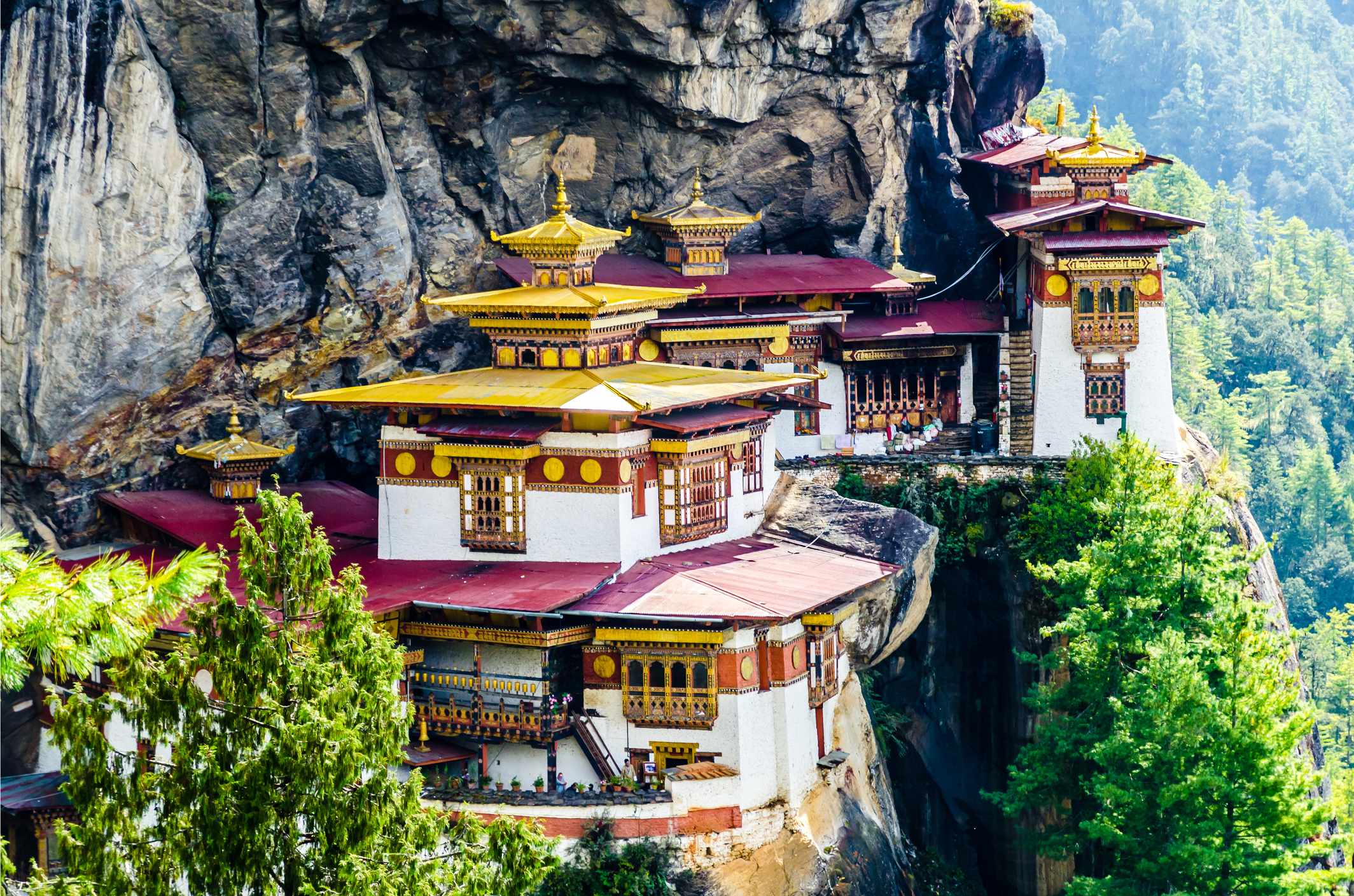 A stunning cliffside monastery with golden roofs surrounded by lush greenery and rocky terrain.