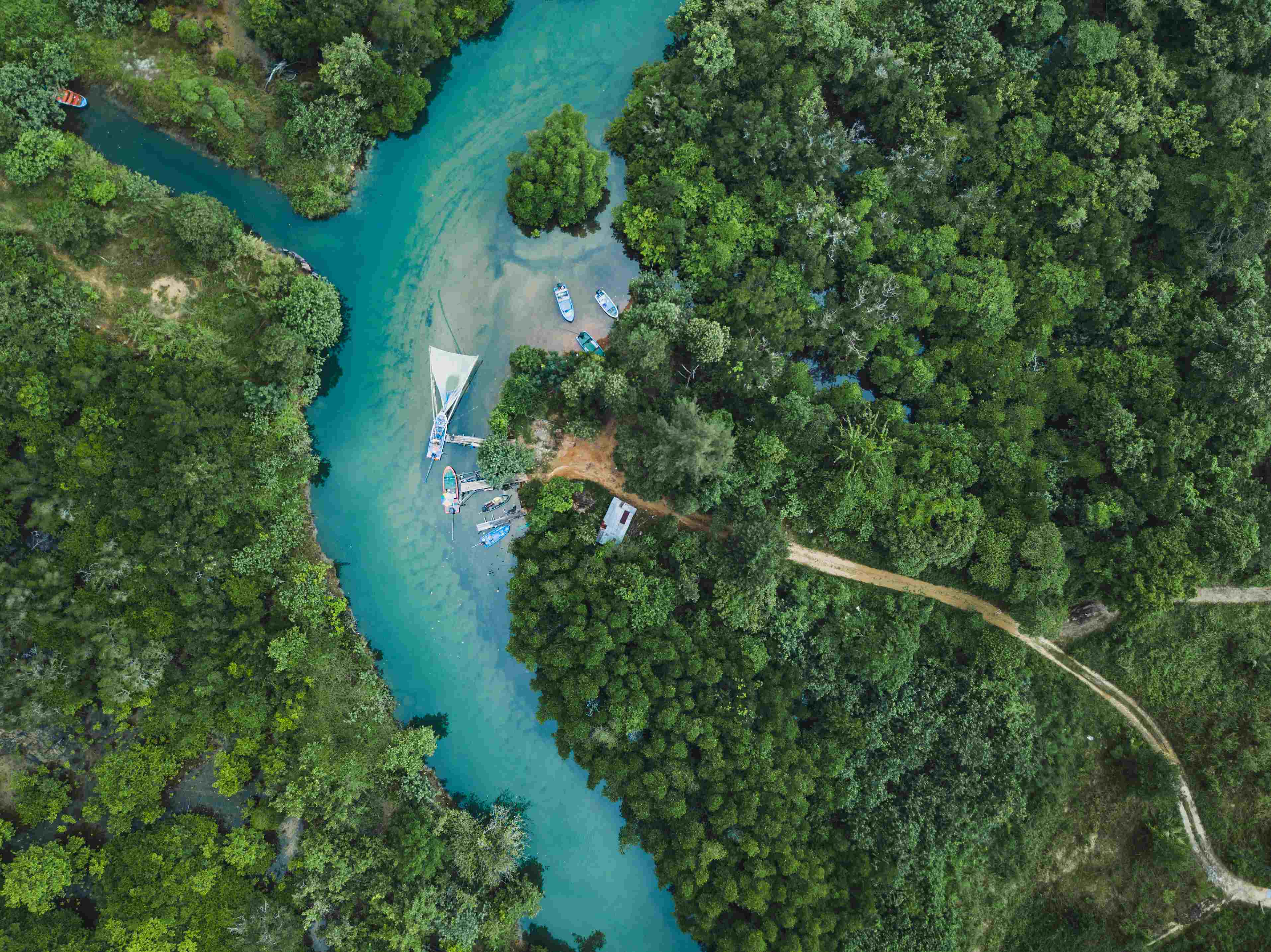 Koh Chang Aerial view of river in green tropical forest, beautiful nature scenery of jungle wilderness