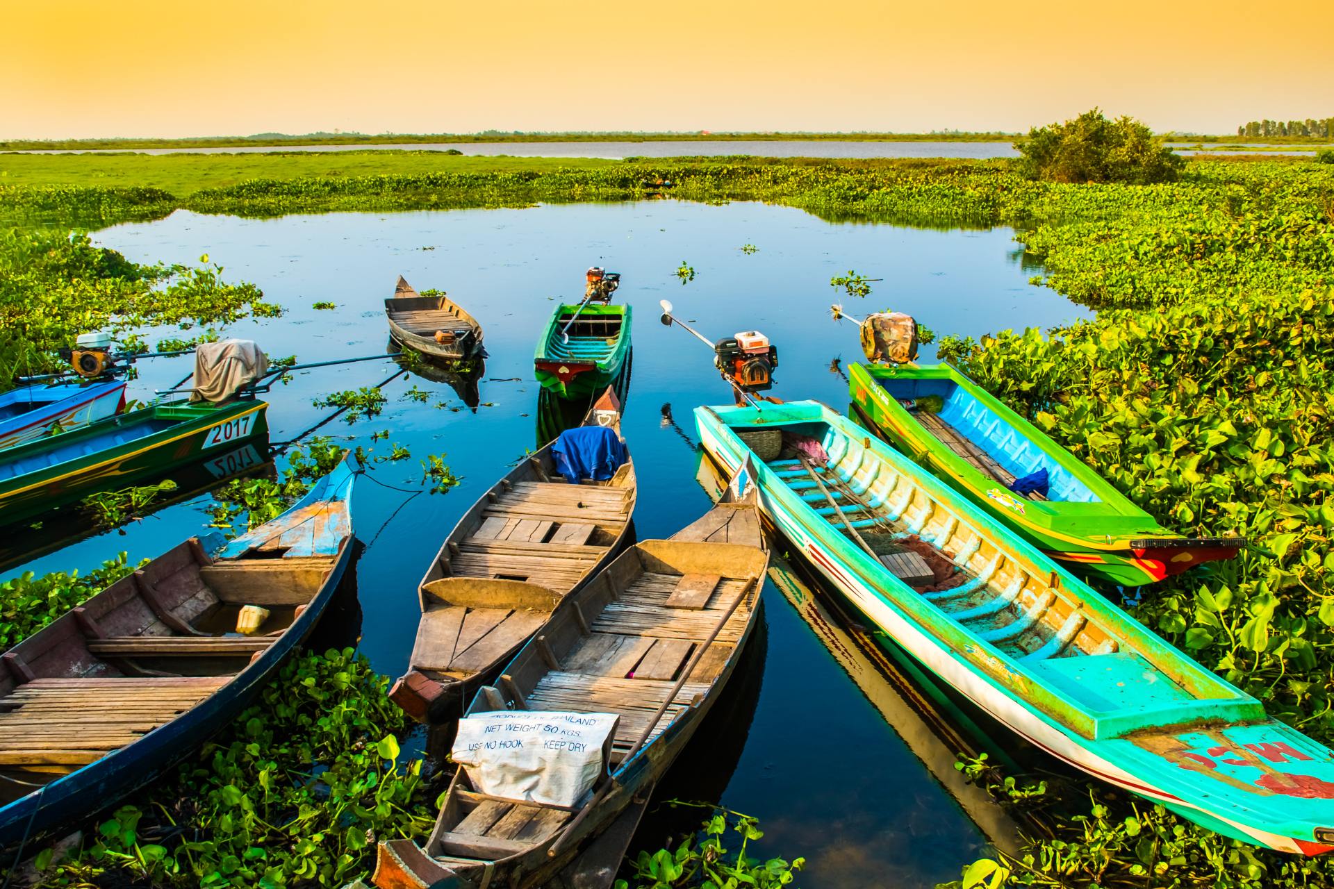 Colorful boats on lake speckled with greenery, Lotus Farm, Phnom Krom in Cambodia