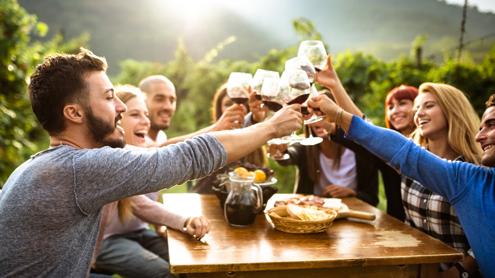 Italy Friends celebrate outdoors, raising wine glasses for a toast around a sunny table with food, surrounded by greenery and smiles.