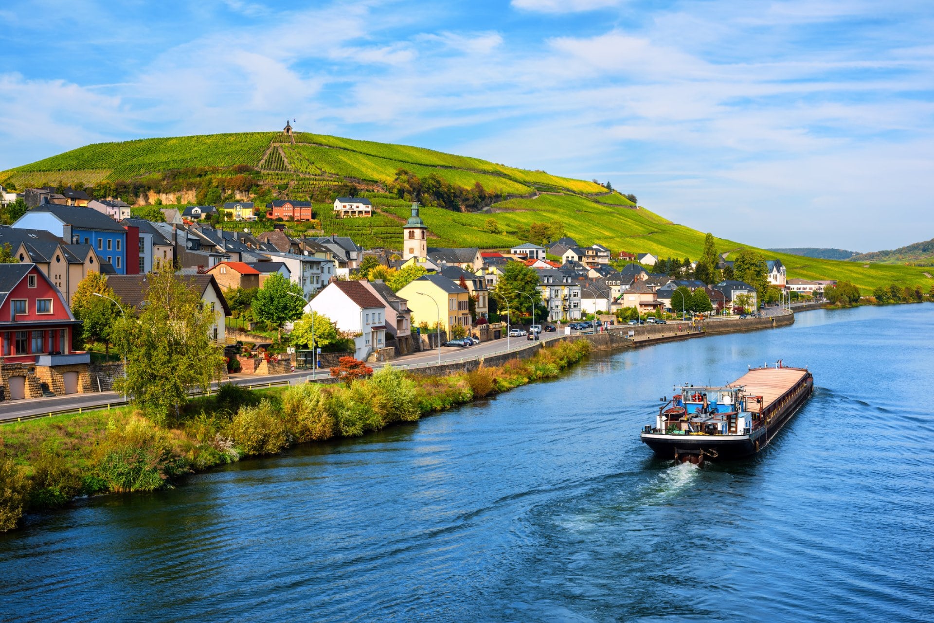 Vineyards on Moselle river