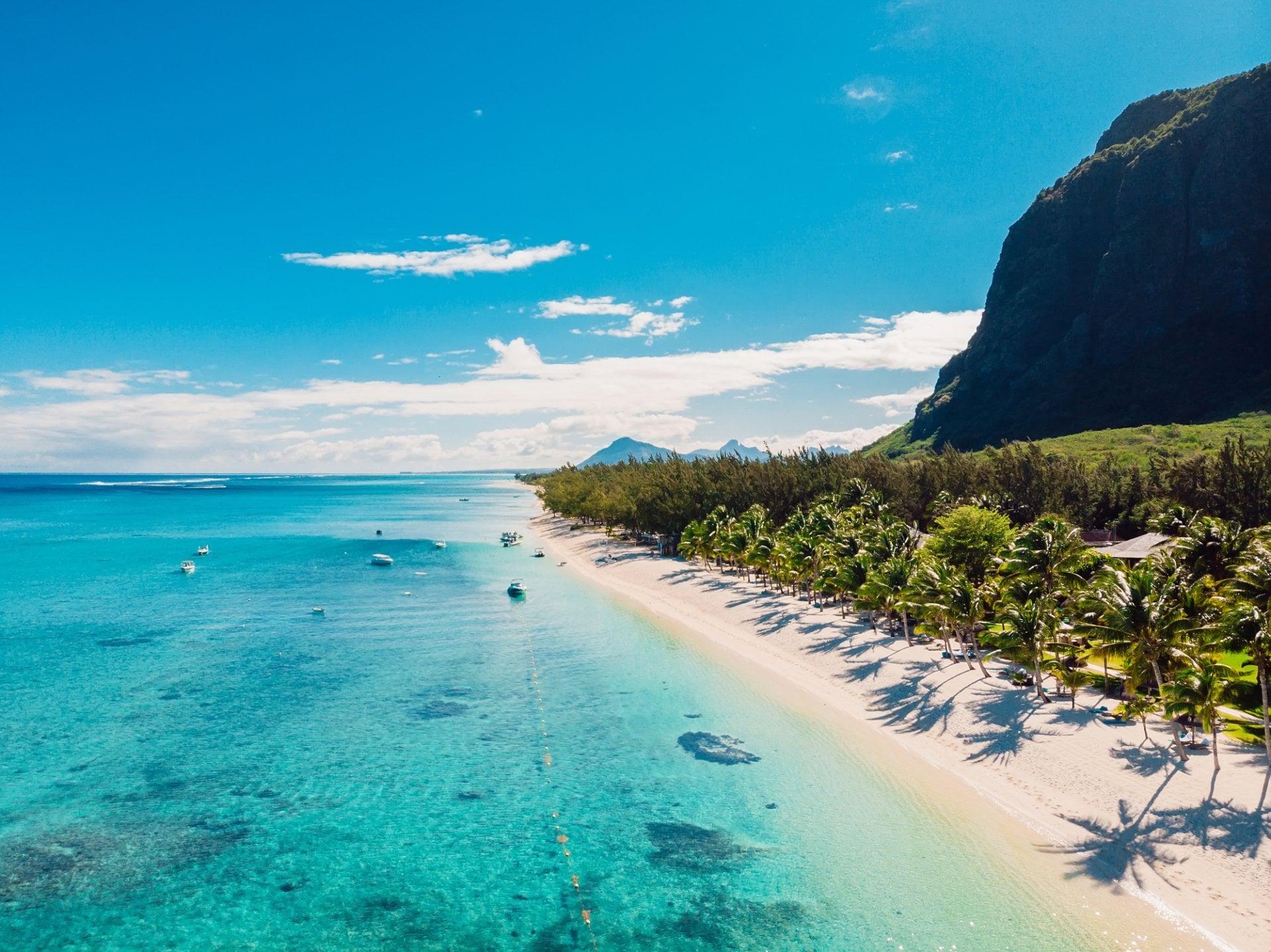 Luxury beach with mountain in Mauritius. Sandy beach with palms and blue ocean
