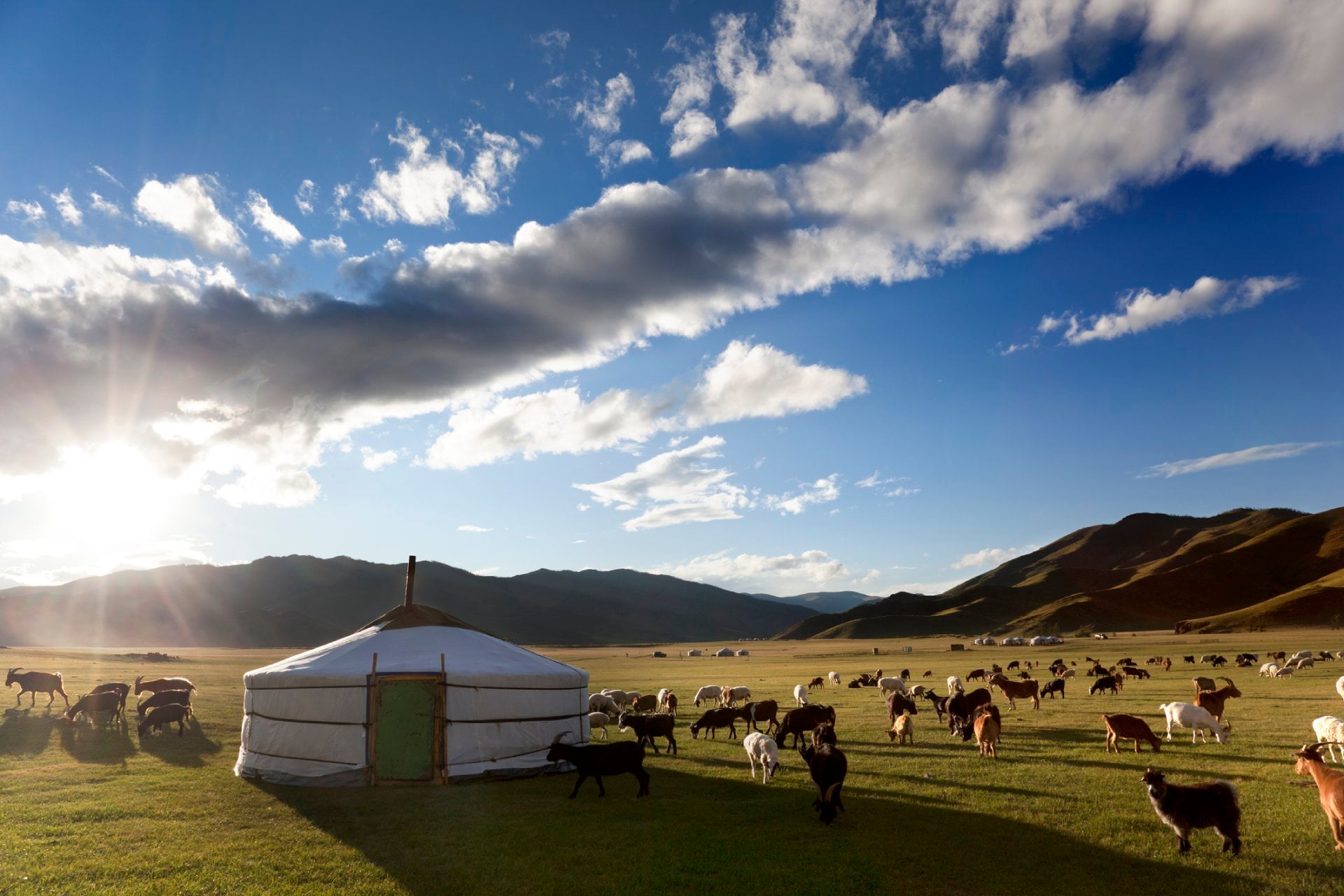Livestock in a pasture around haystack on partly cloudy day