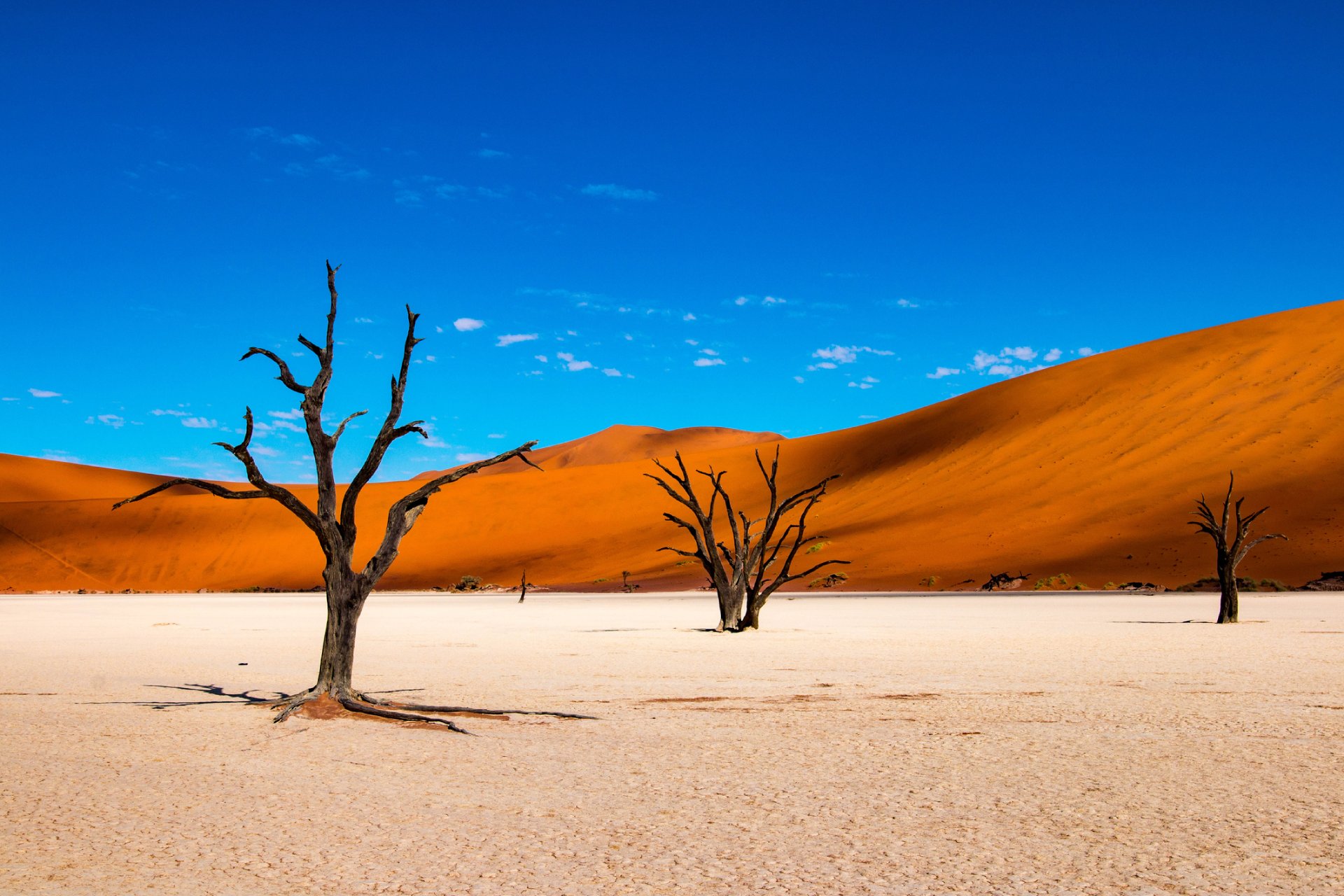 Deadvlei in Sossusvlei