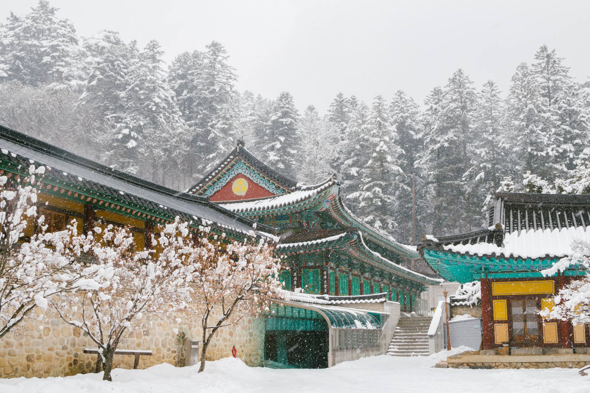 Beautiful winter landscape with snow covered trees and asian temple Odaesan Woljeongsa in Pyeongchang, Korea