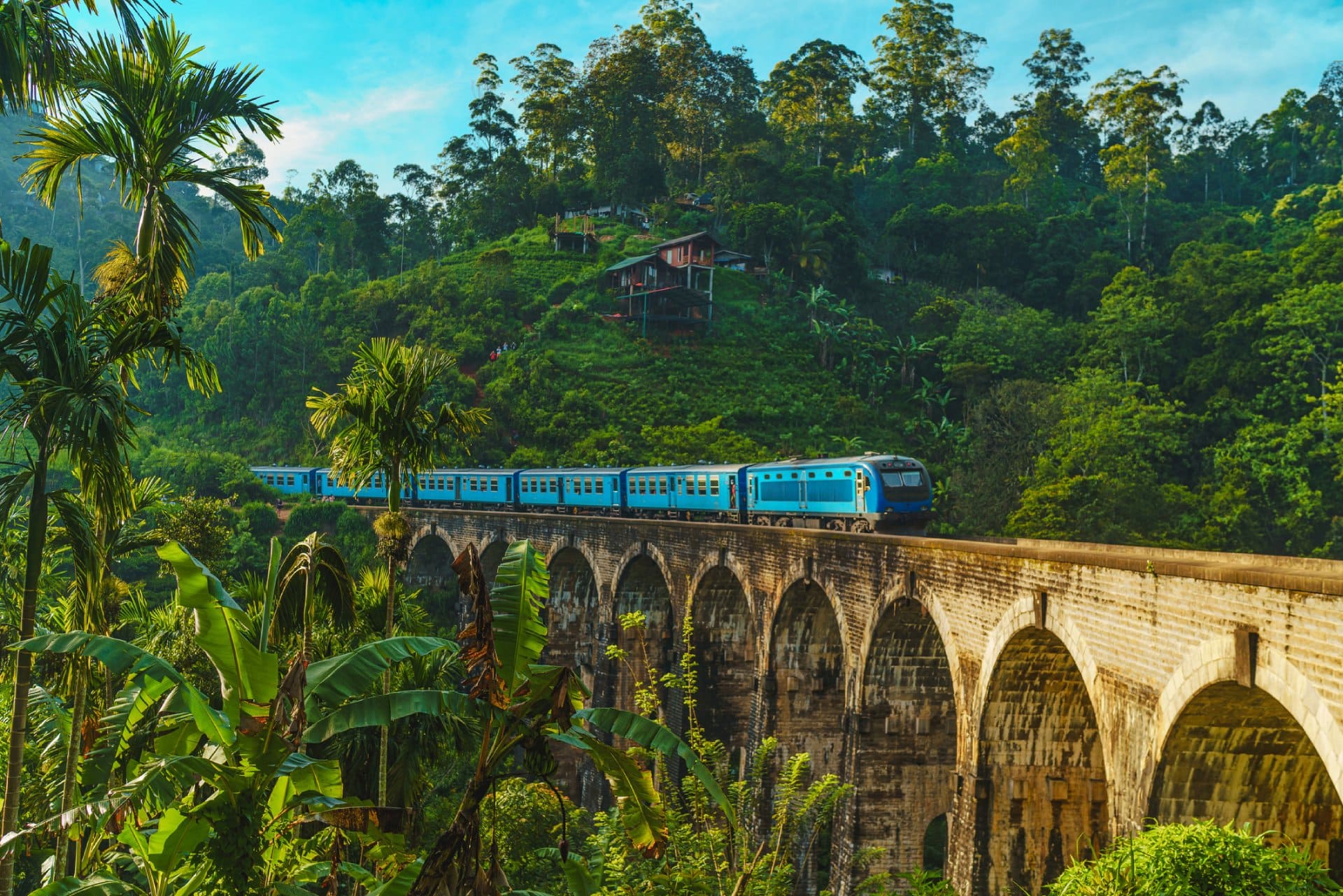 Train passing over Nine Arch Bridge