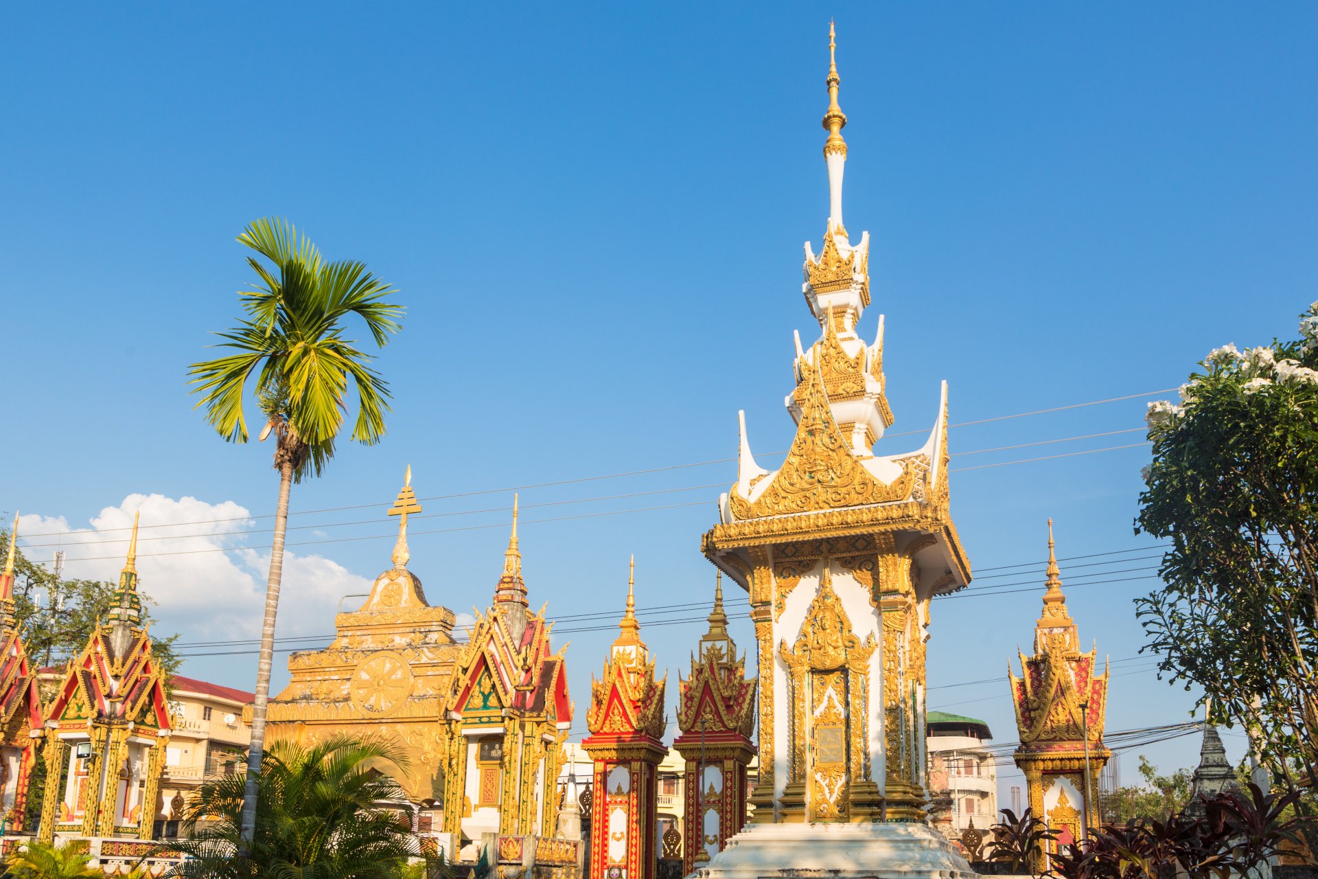 Buddhist stupas with palm trees