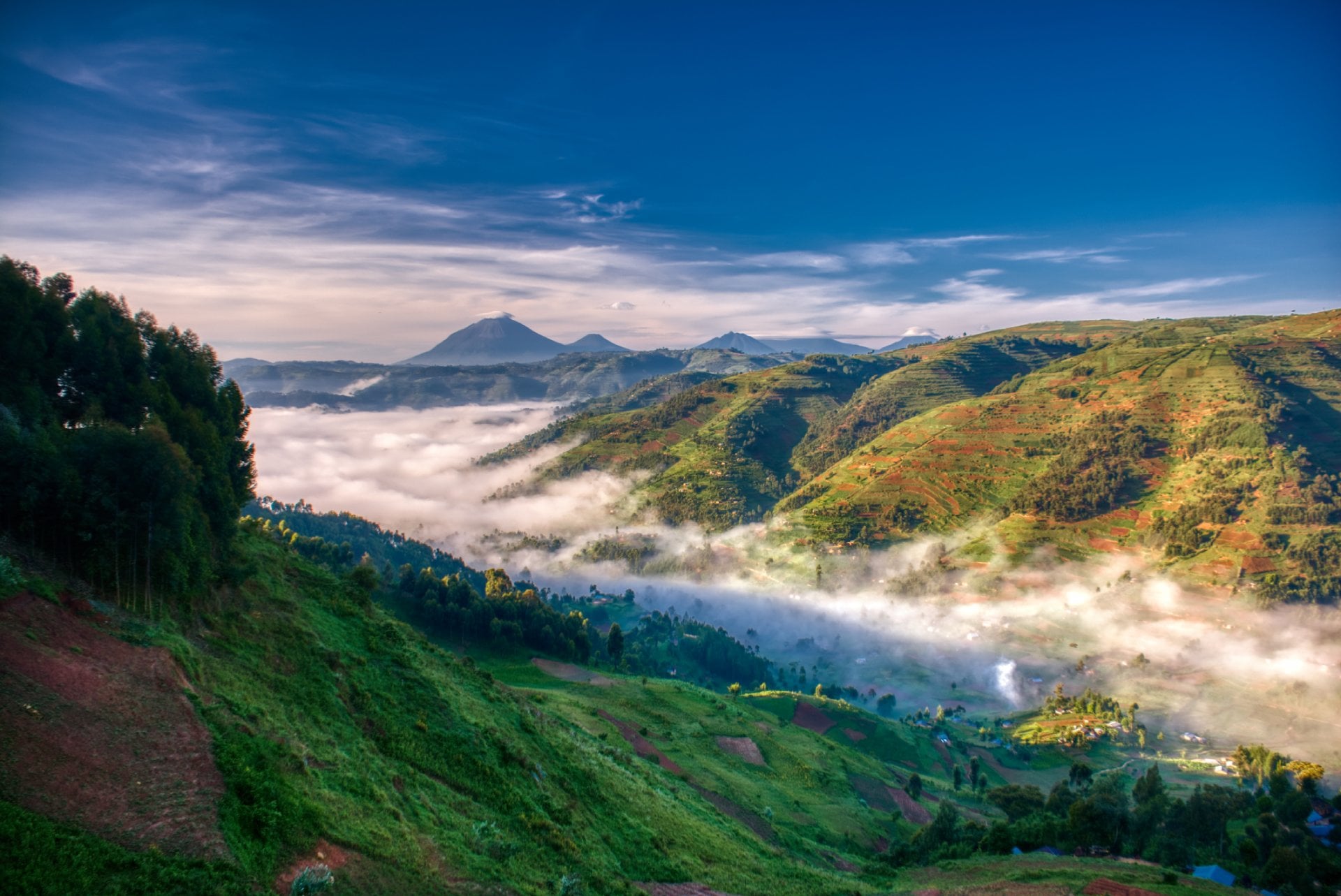 Morning farmland green of Uganda with volcanoes in background