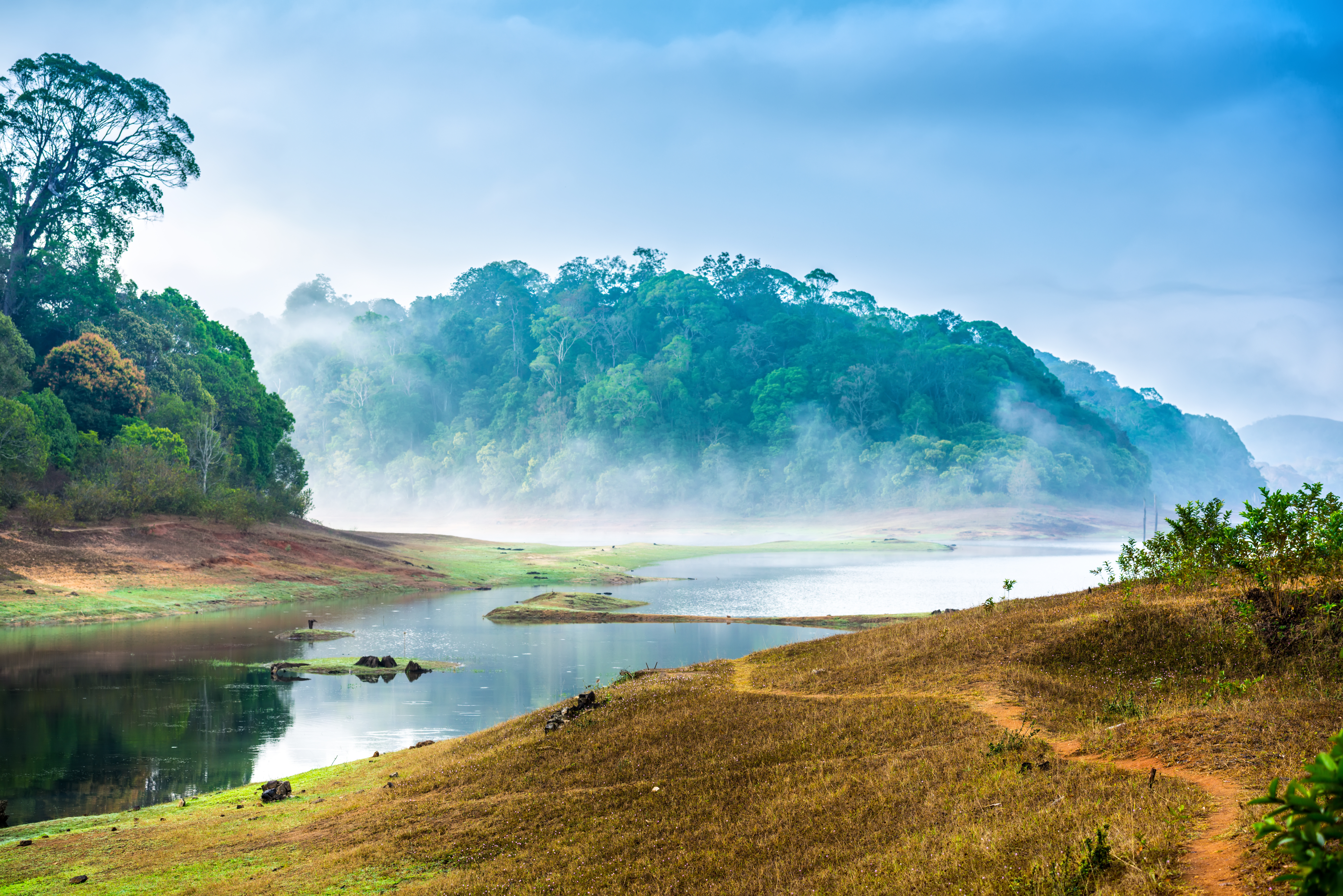 Explore the vast landscape of Periyar National Park