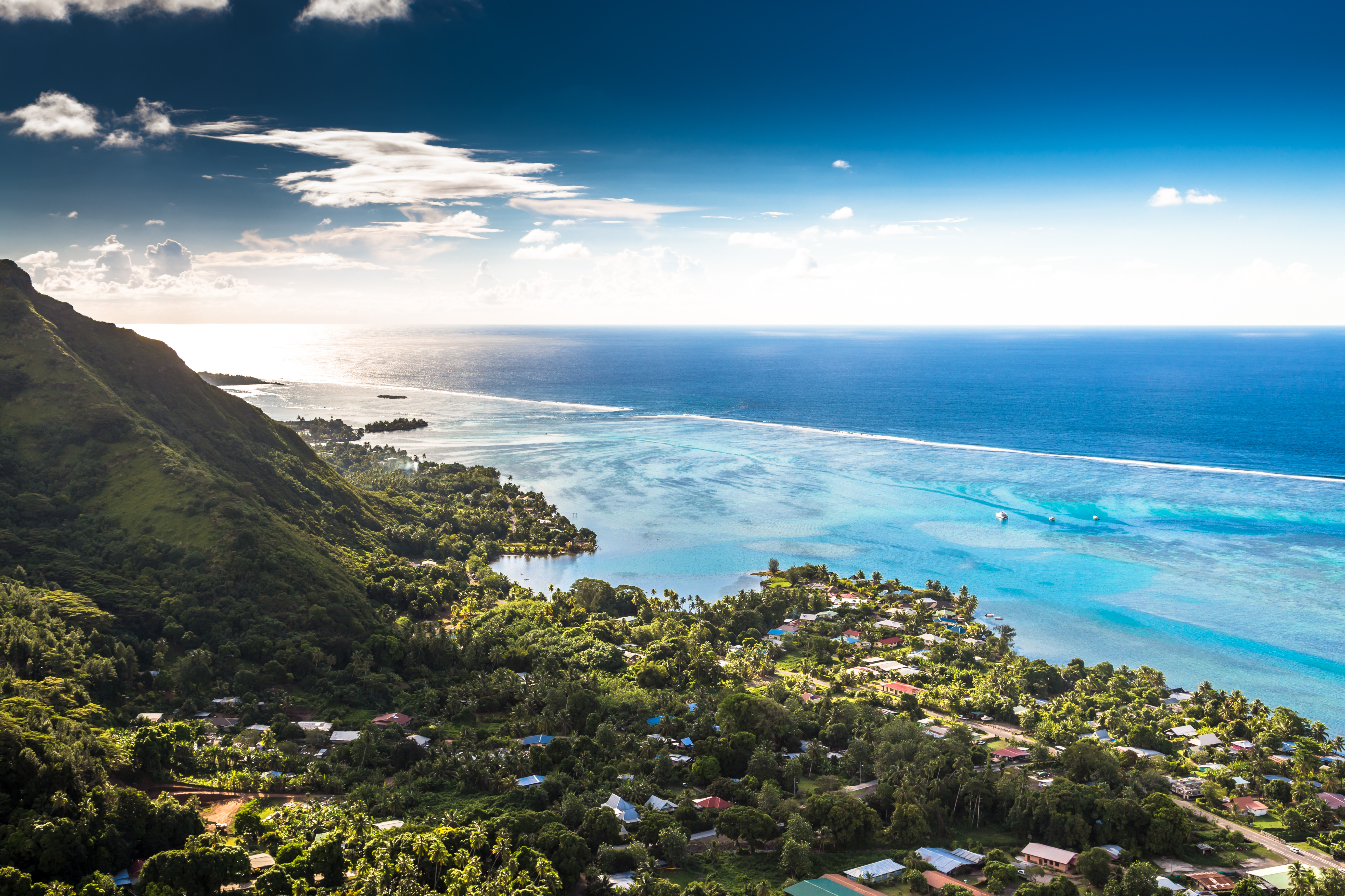 Find wedded bliss in the South Pacific