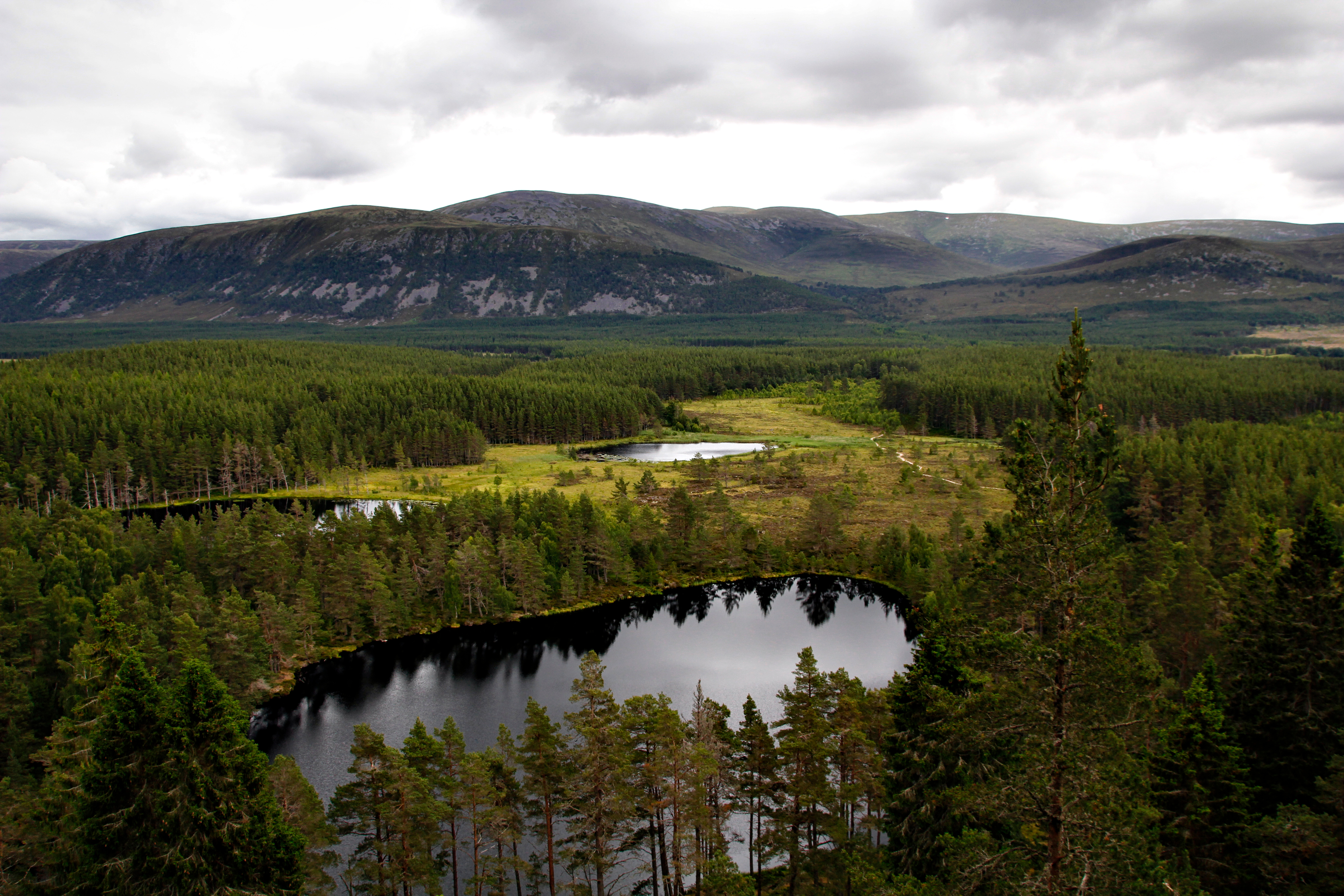 Explore the beauty of Cairngorms National Park