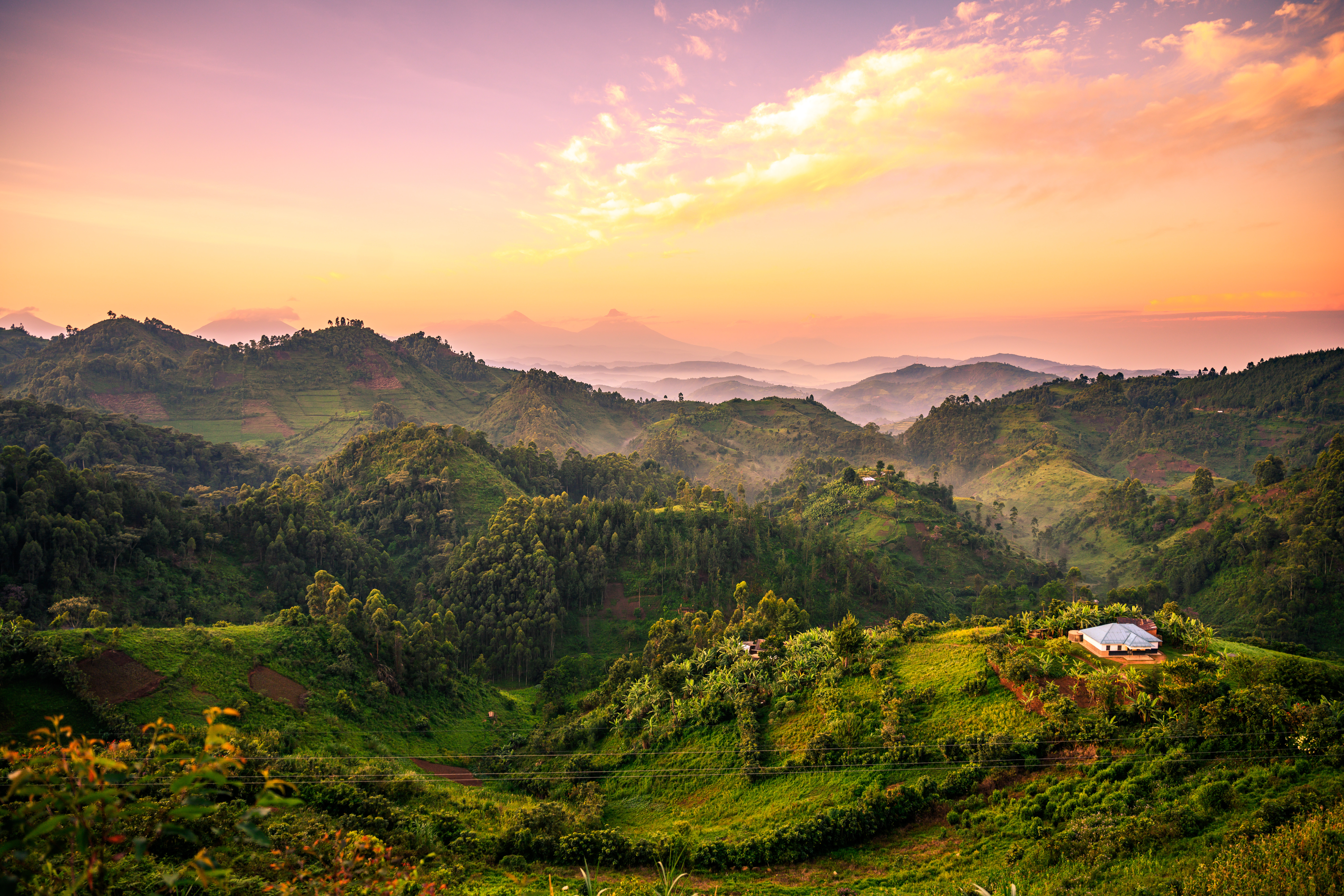 A golden-hued sunset painting the skies above the park's beautiful landscape.