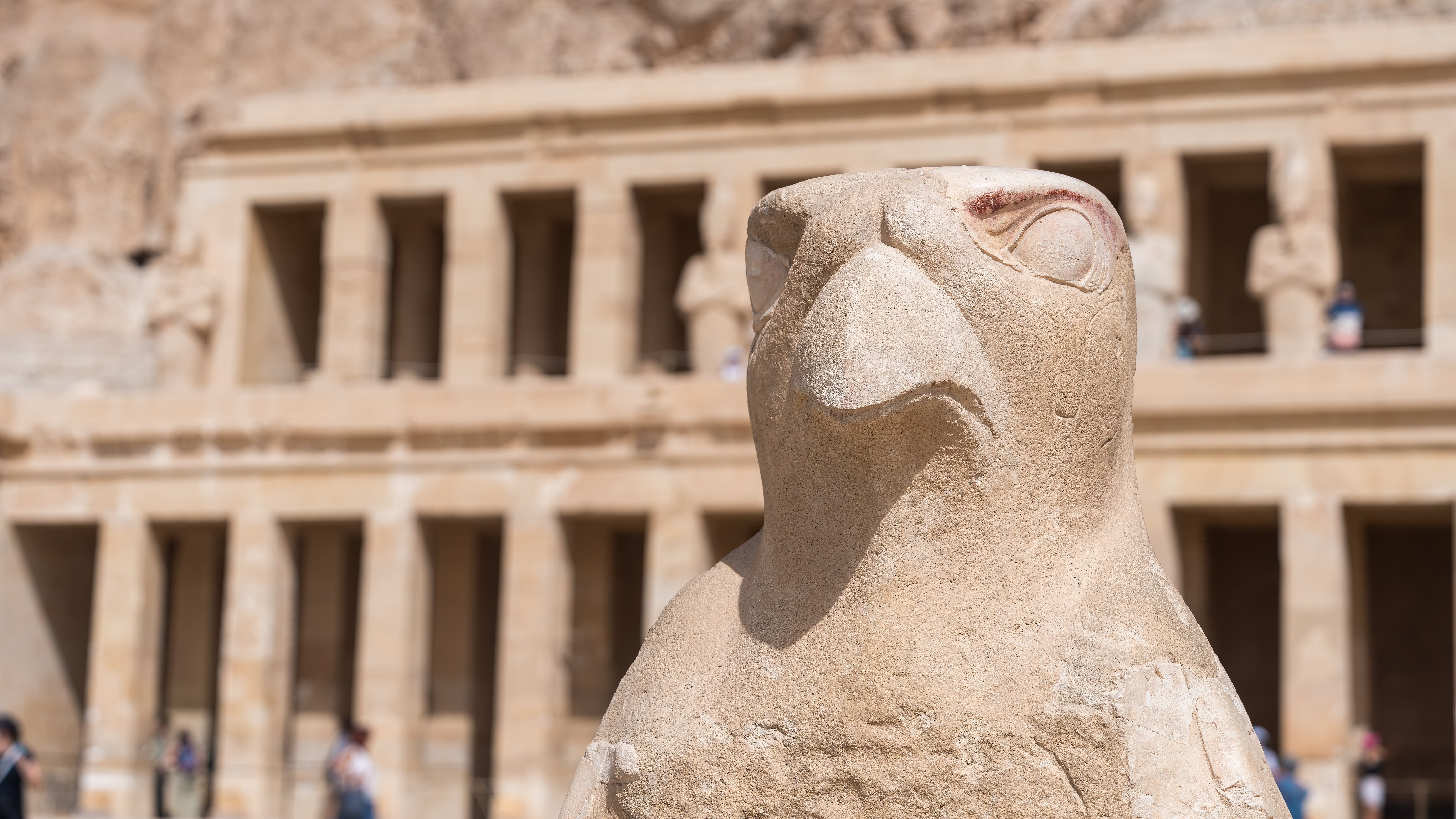 Ancient Egypt carving of Horus at the temple of Hatshepsut