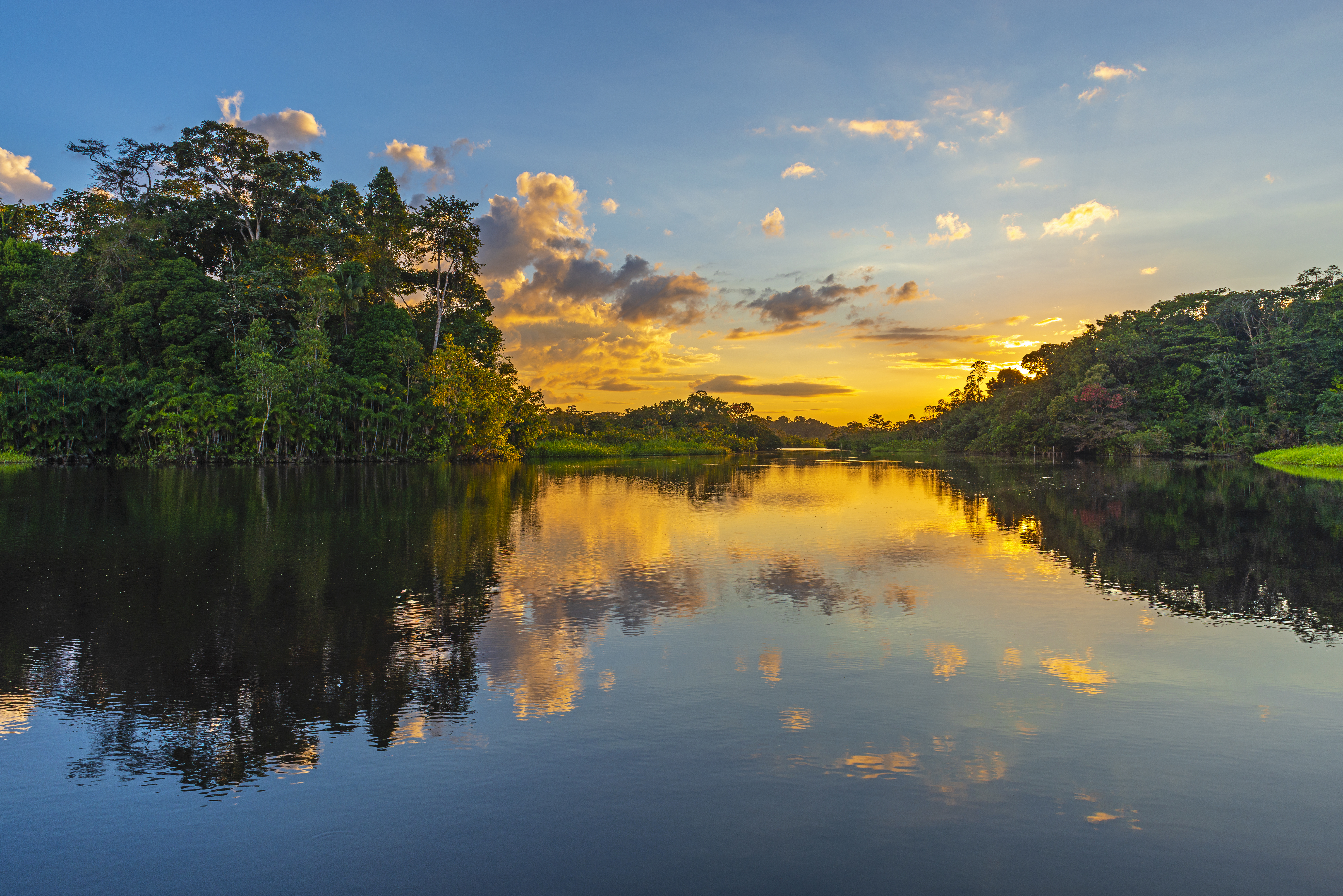 The Amazon at Sunset