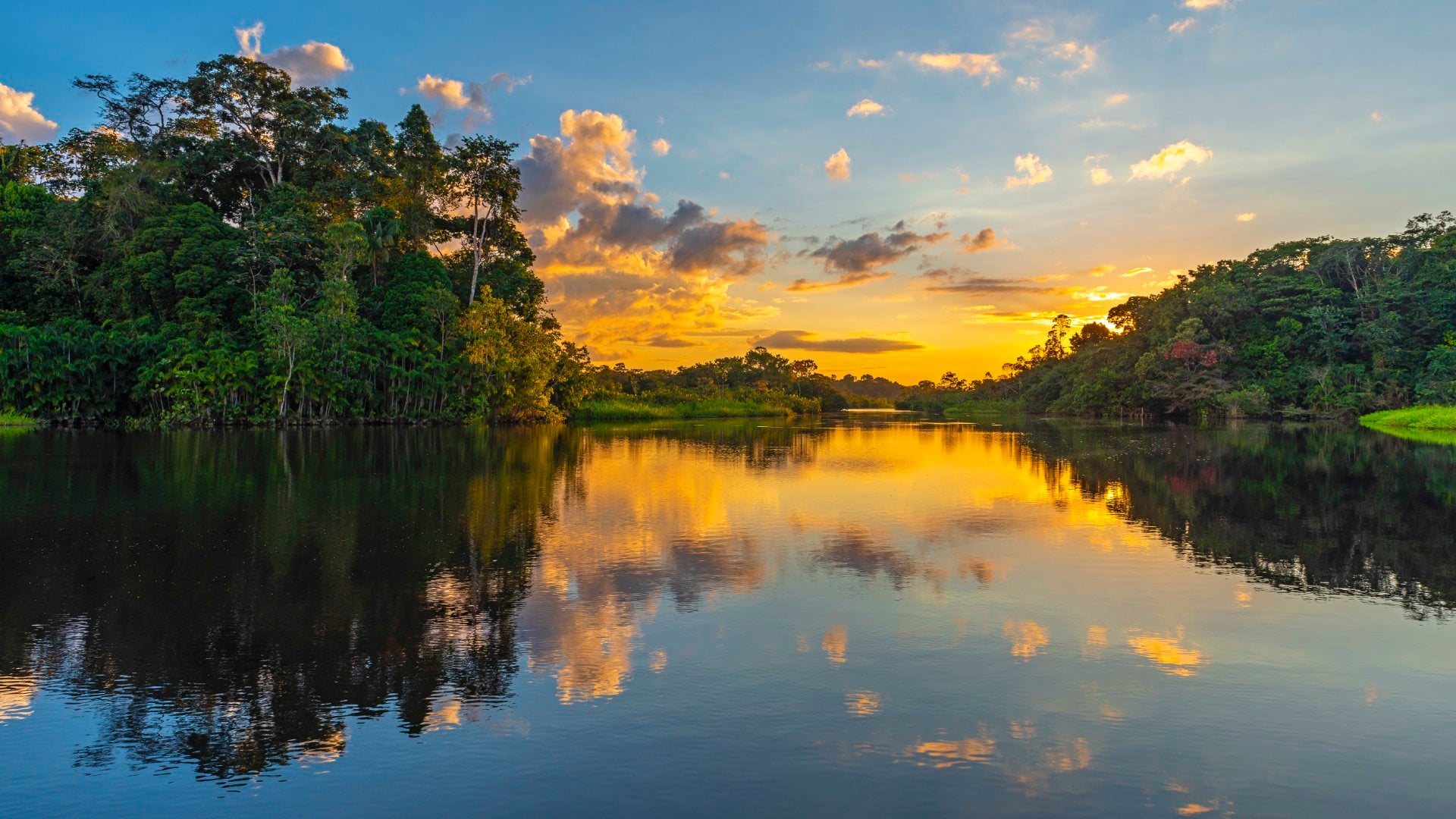 The Amazon at Sunset
