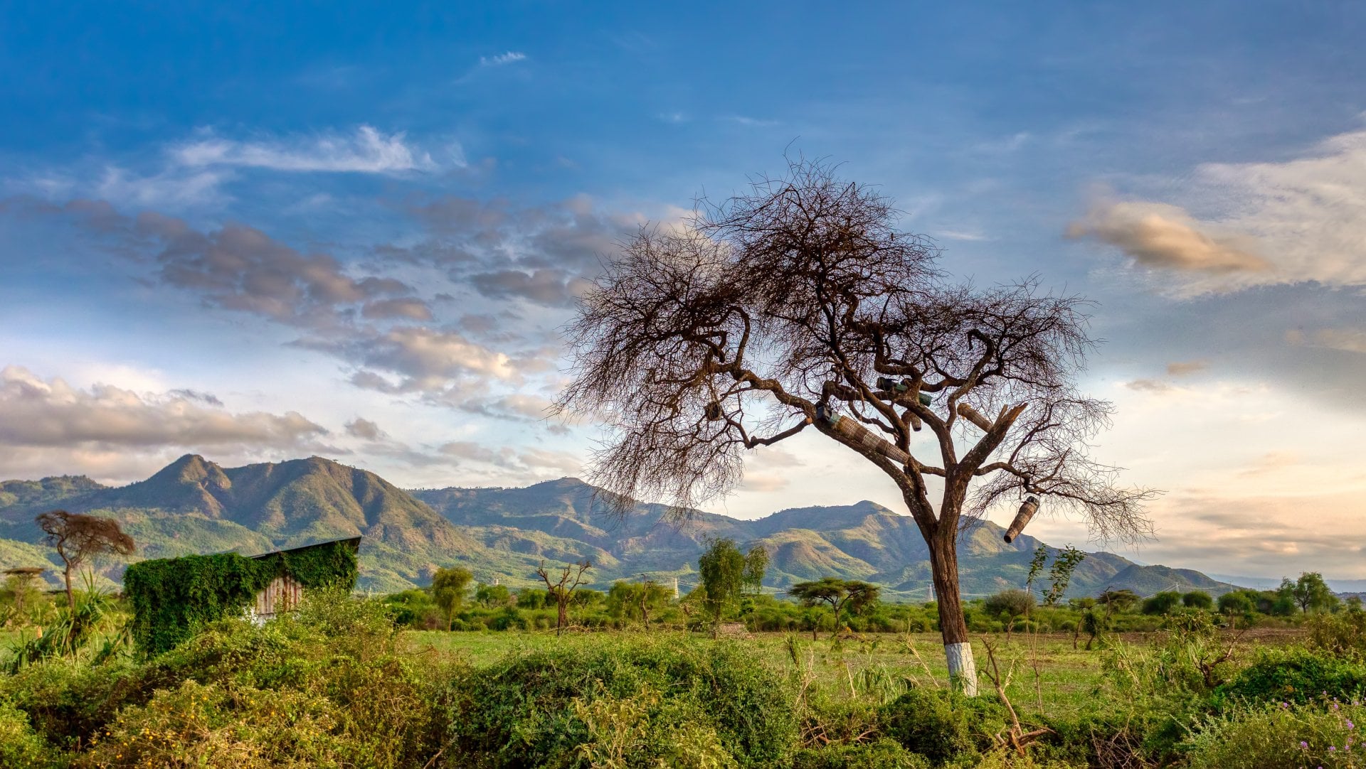 Arba Minch, Ethiopia