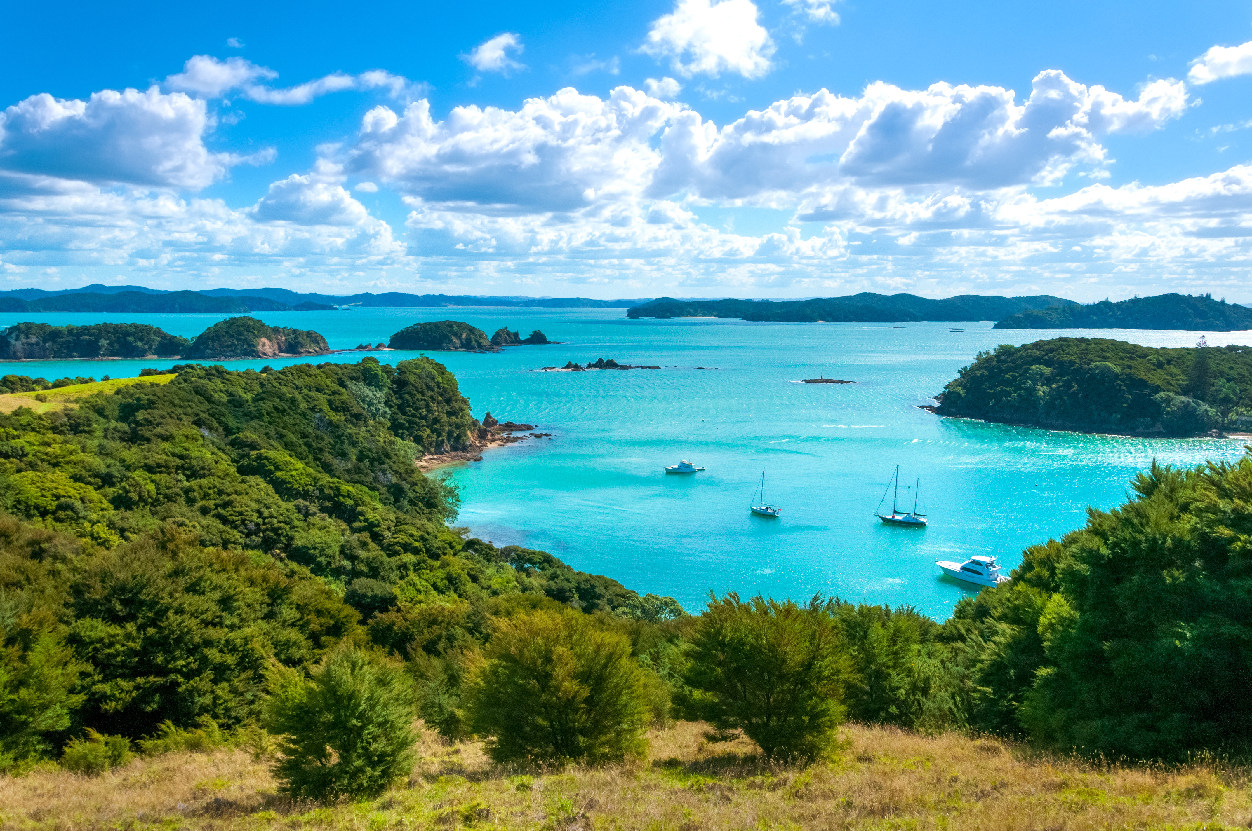 Bay of Islands