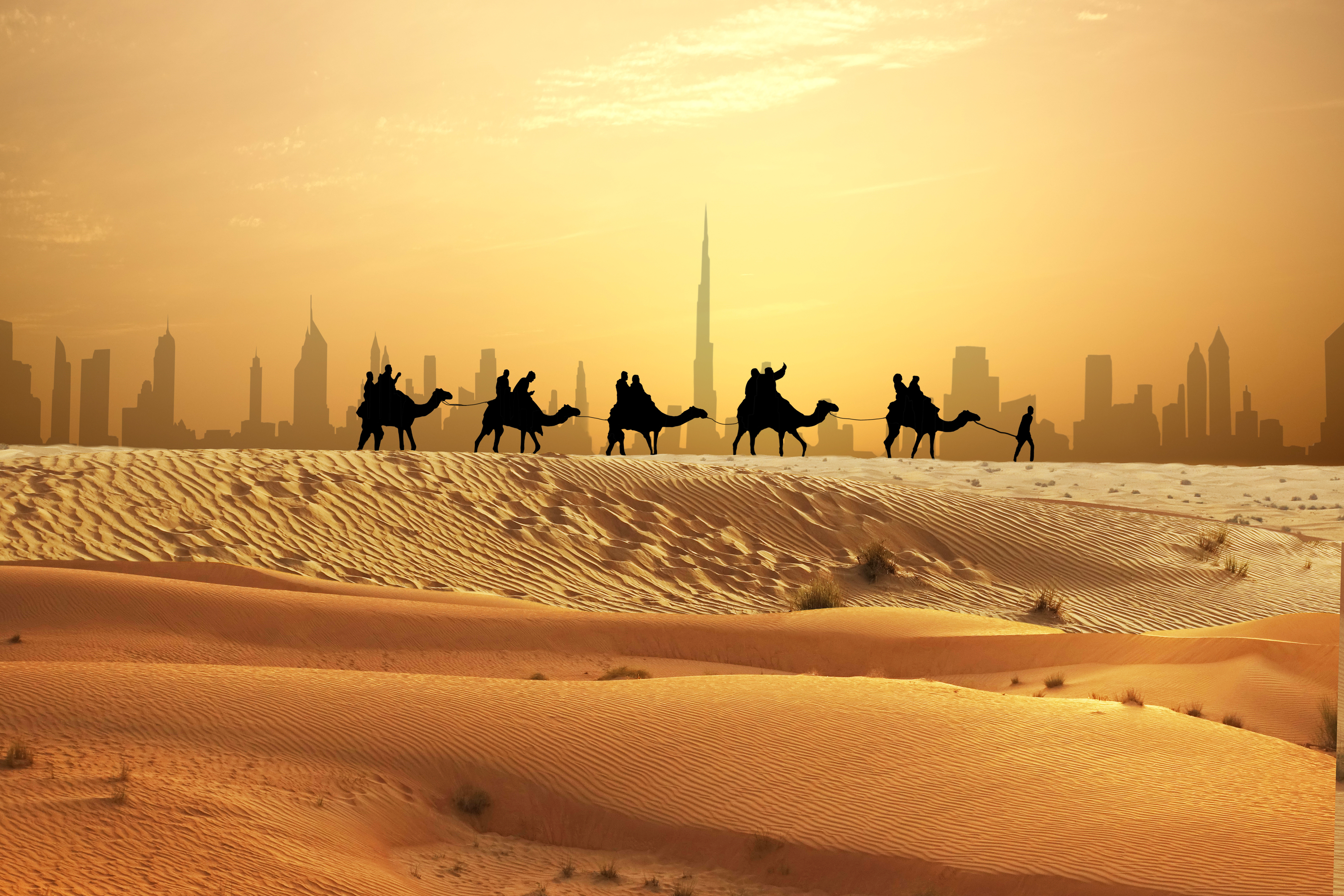 Camel caravan on sand dunes on Arabian desert with Dubai skyline at sunset