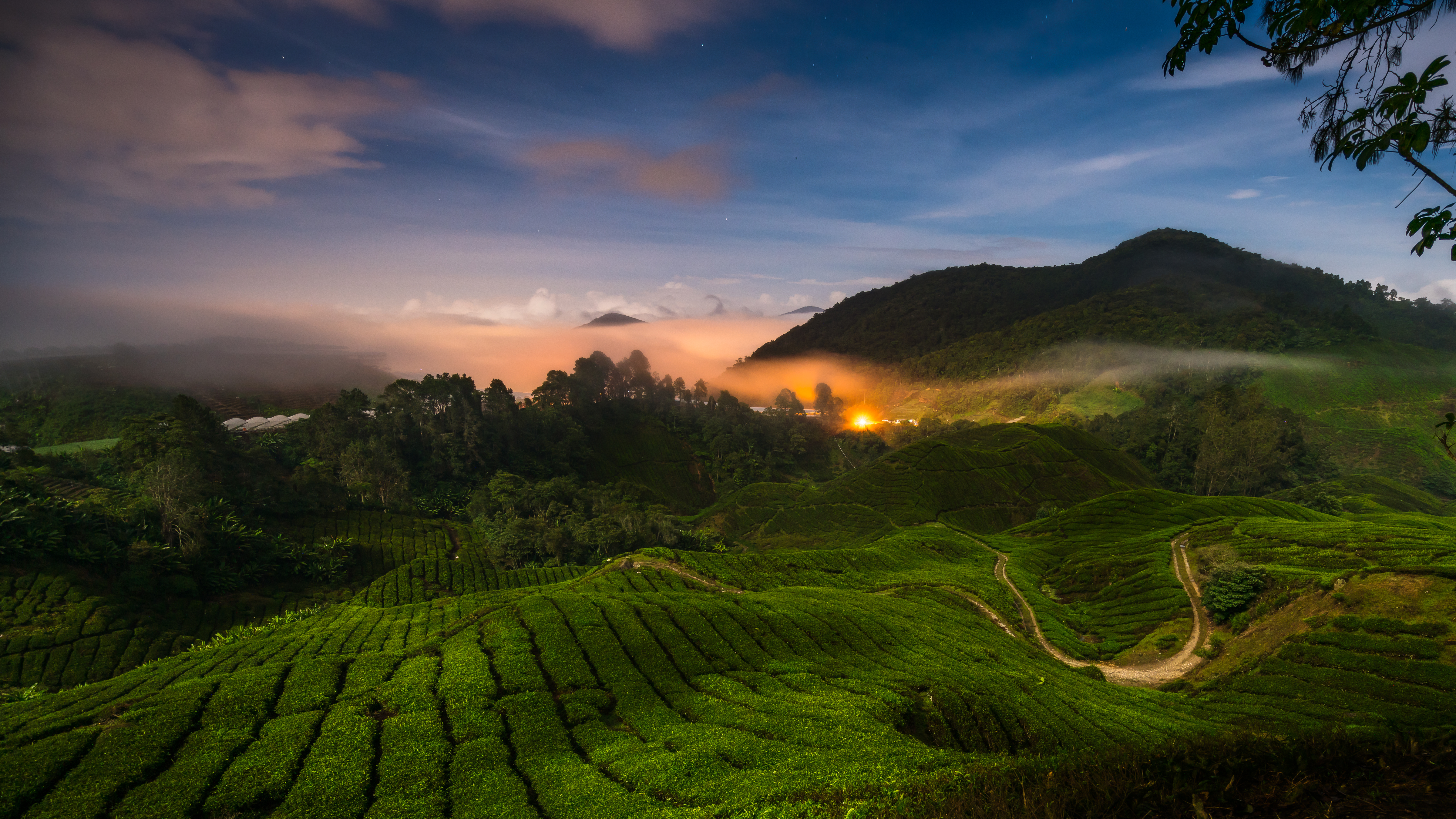 Cameron Highlands, Malaysia