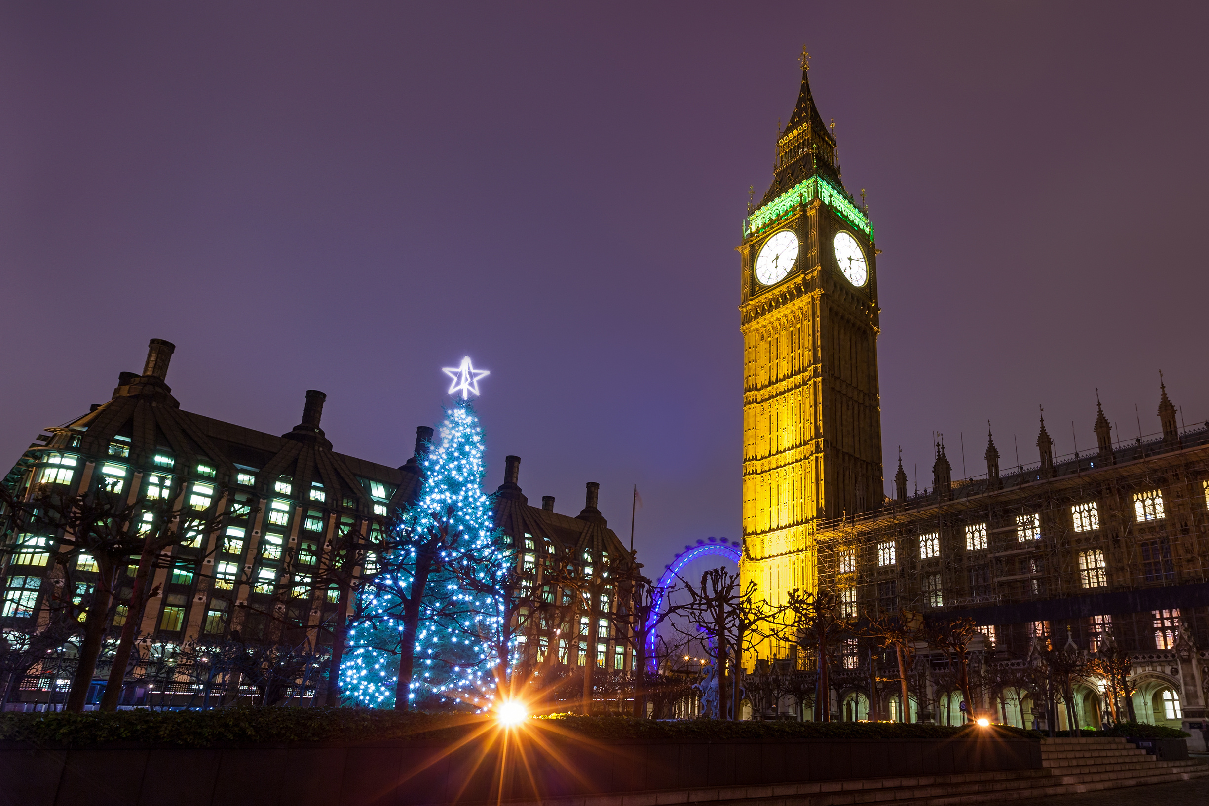 Christmas Tree at Westminster