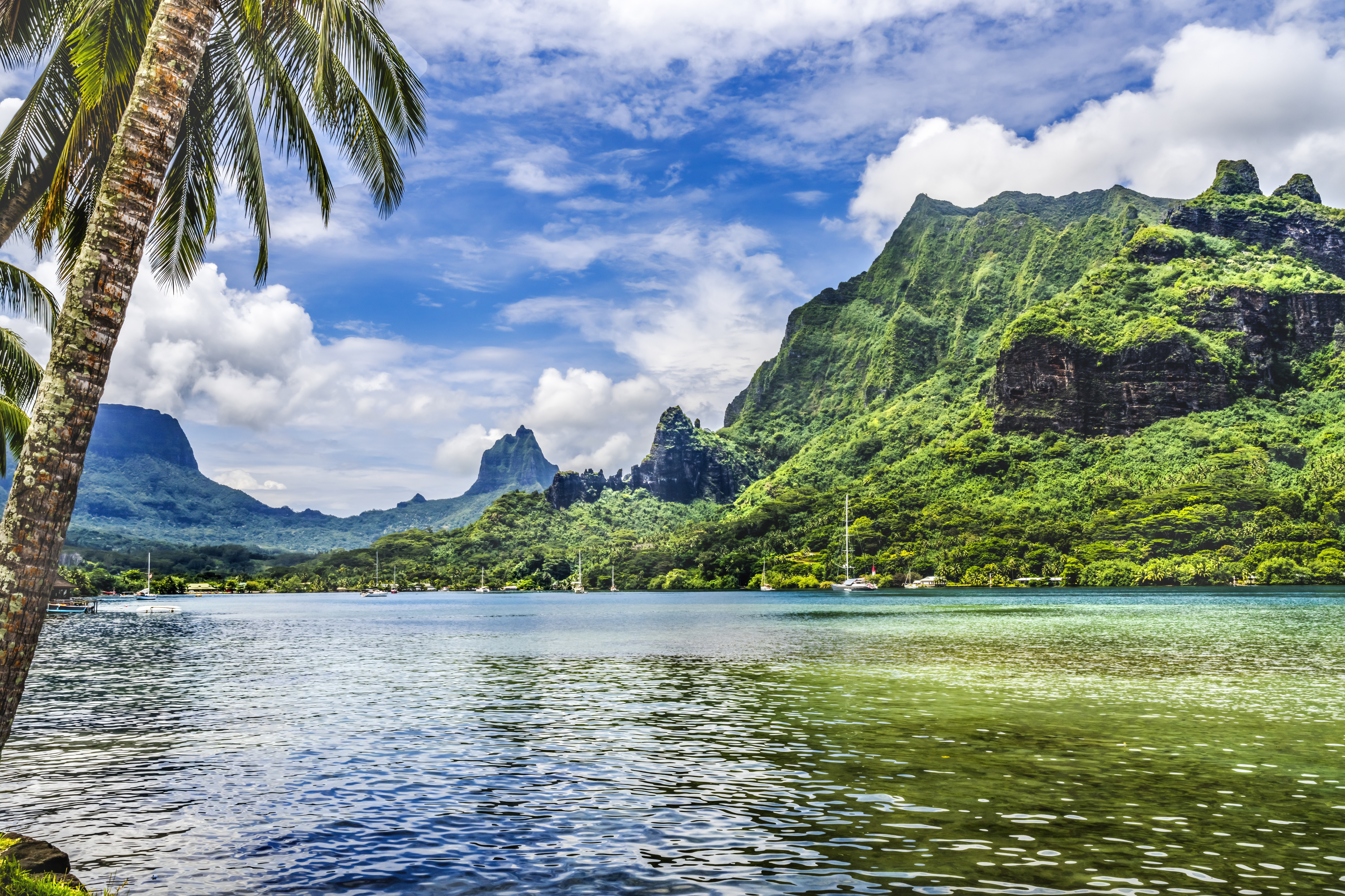 Cook's Bay, Moorea