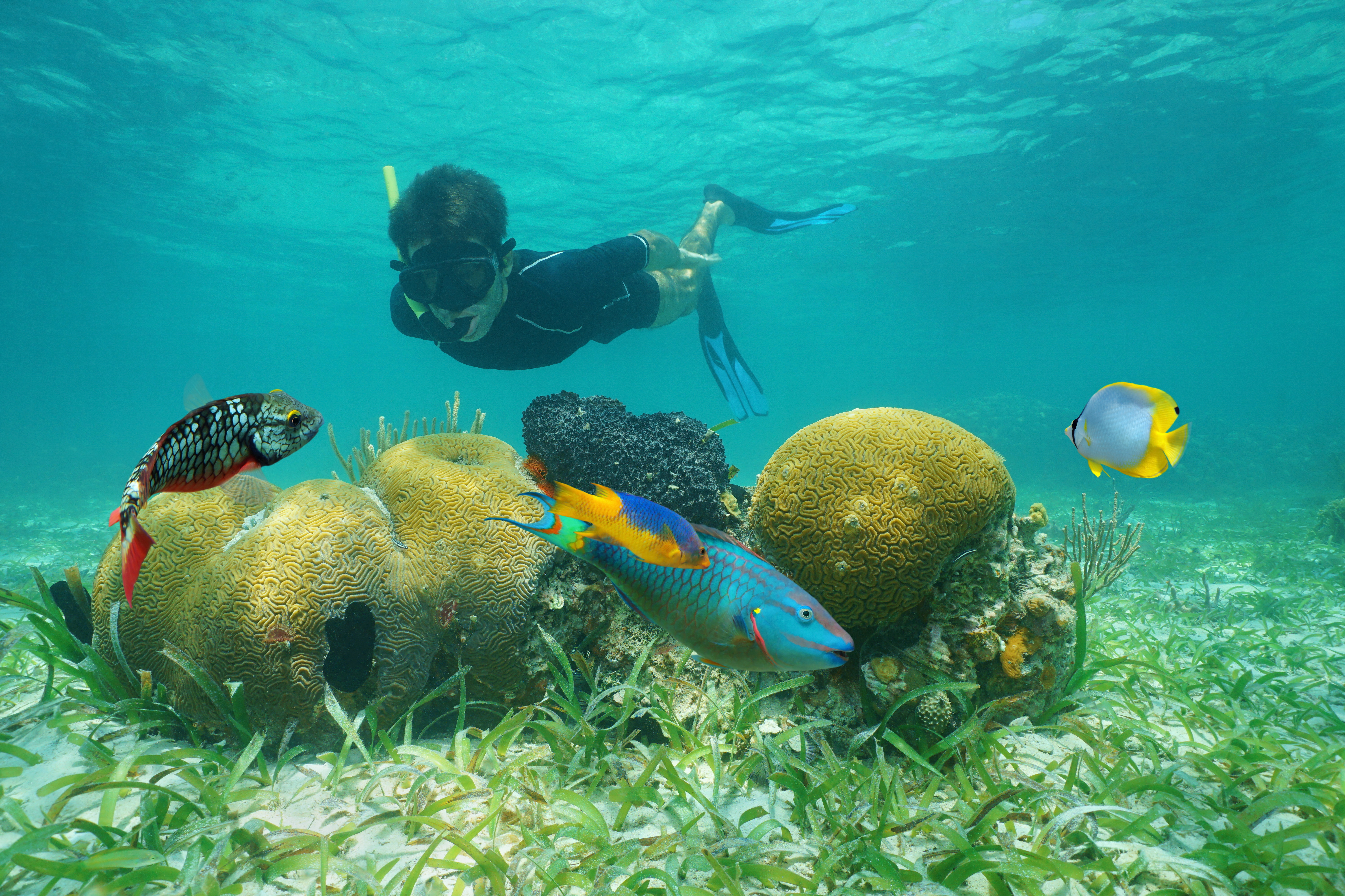 Snorkeling adventure in Belize