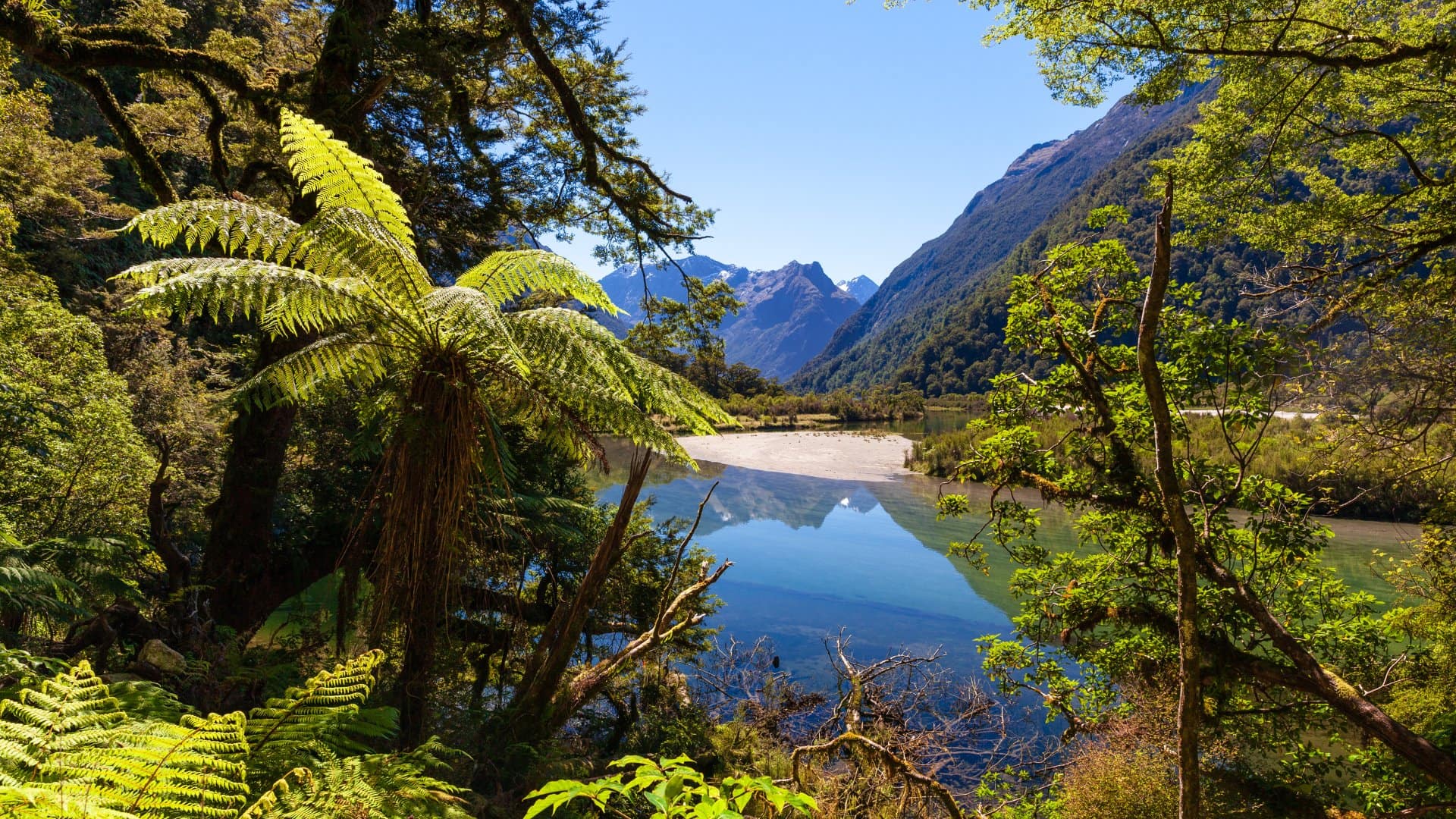 Fiordland National Park, next to the Milford Track, known as the finest walk in the World