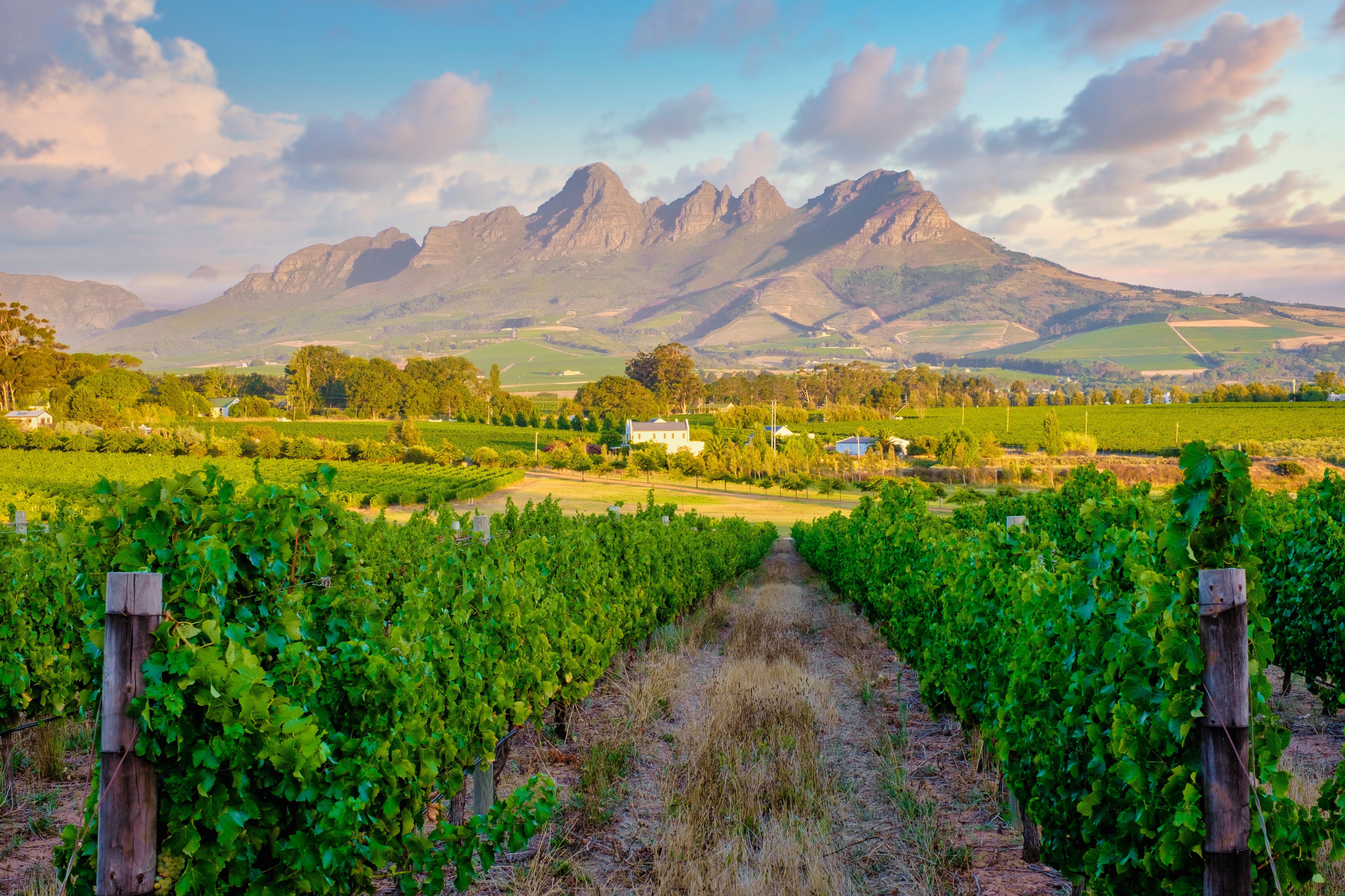 Franschhoek, Cape Winelands
