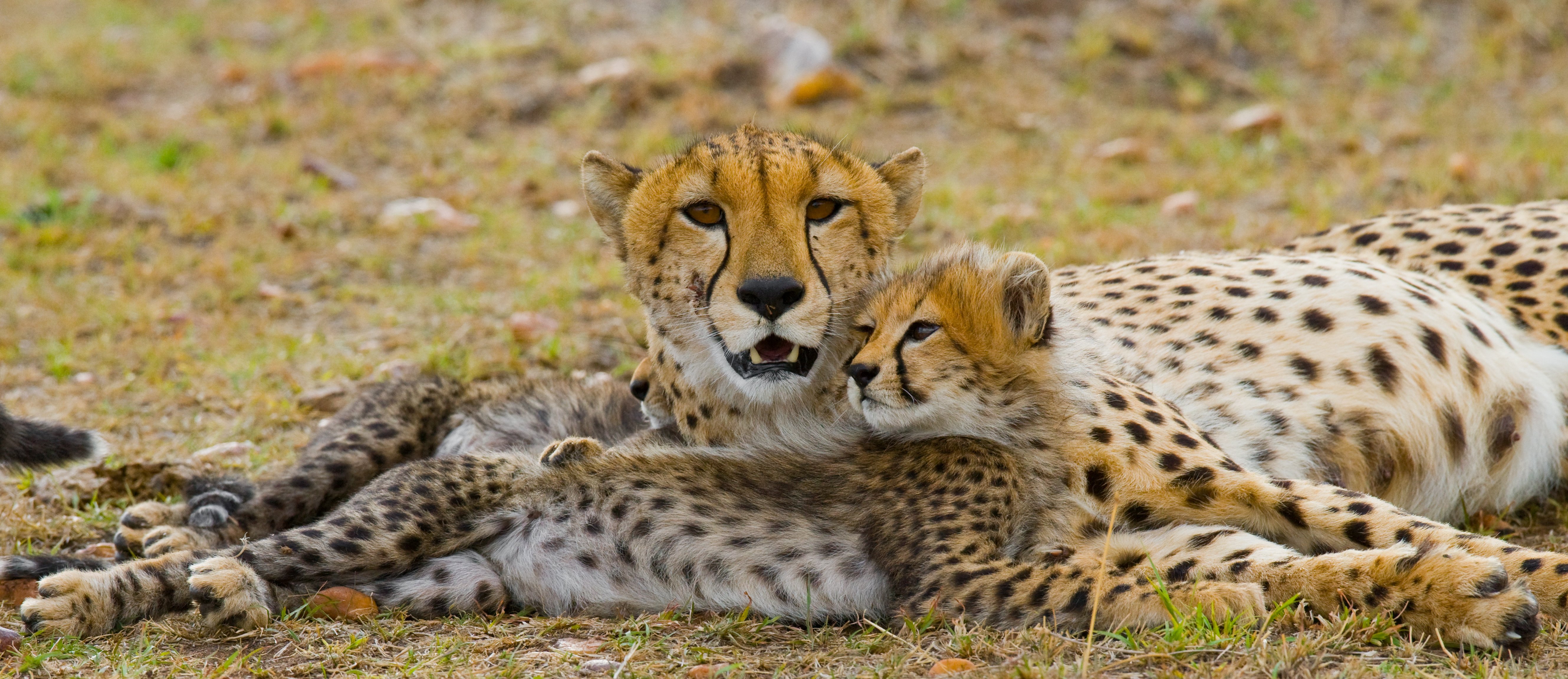 Serengeti National Park