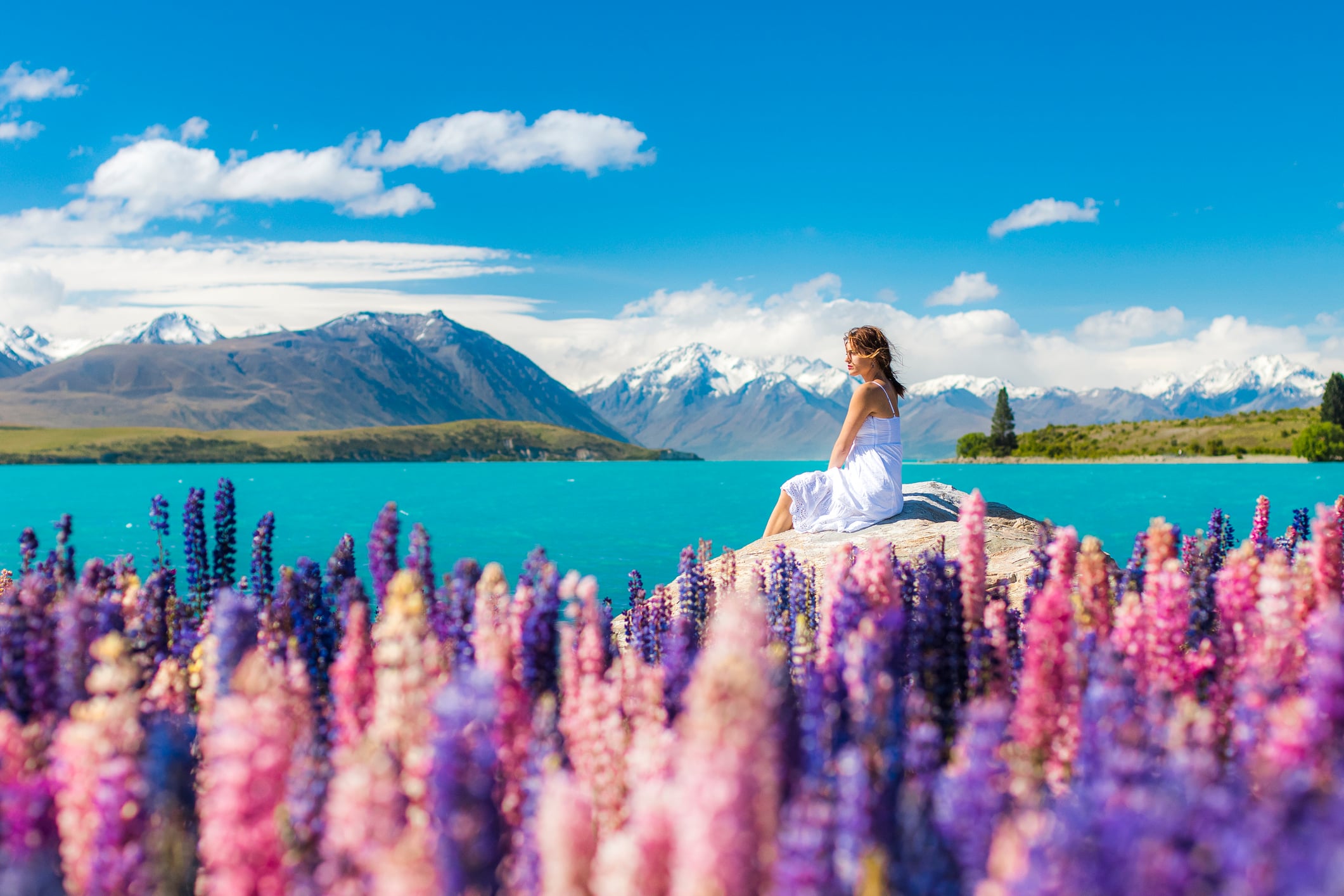 Mt, Cook, New Zealand
