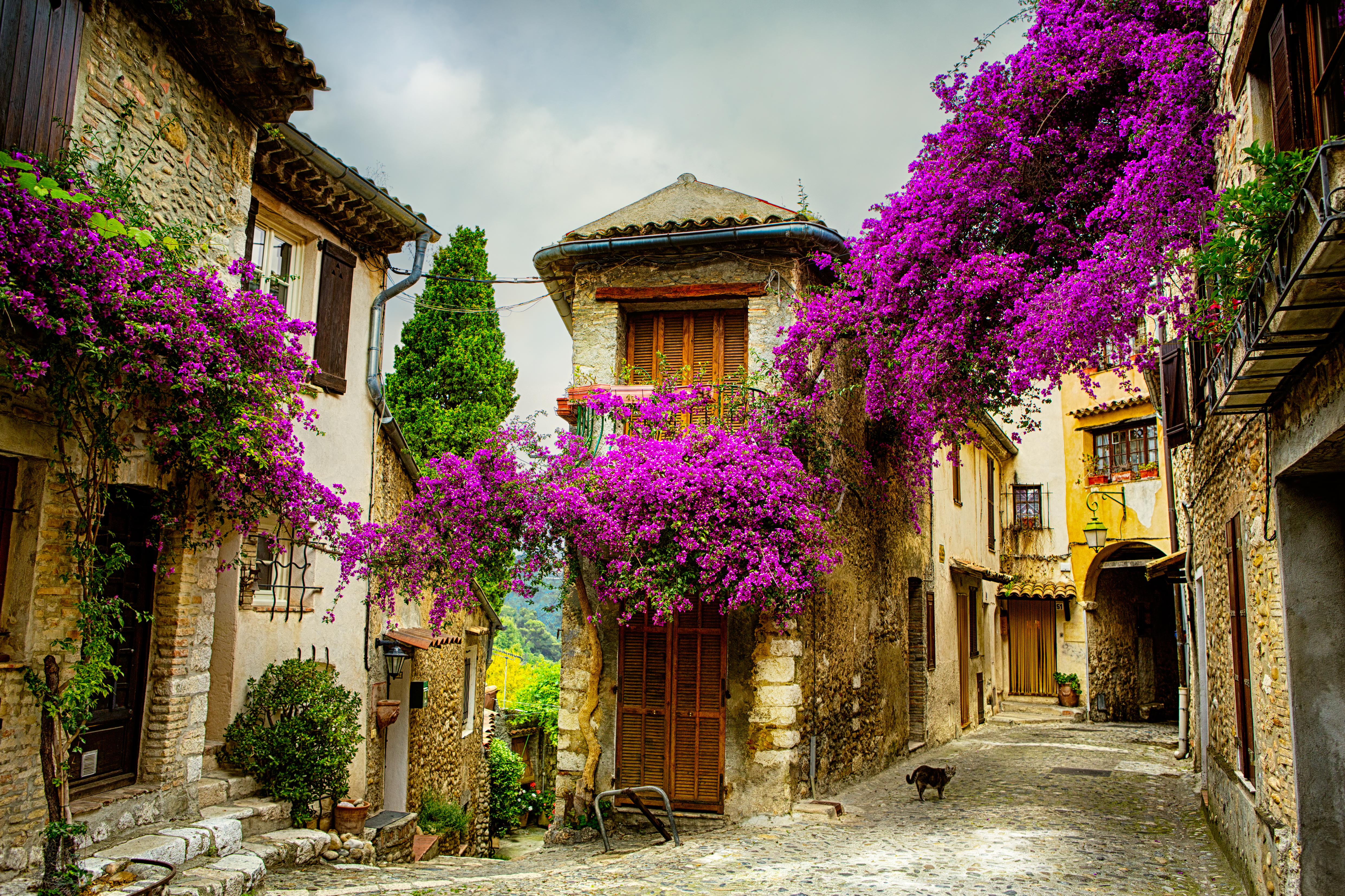 Old Town of Provence