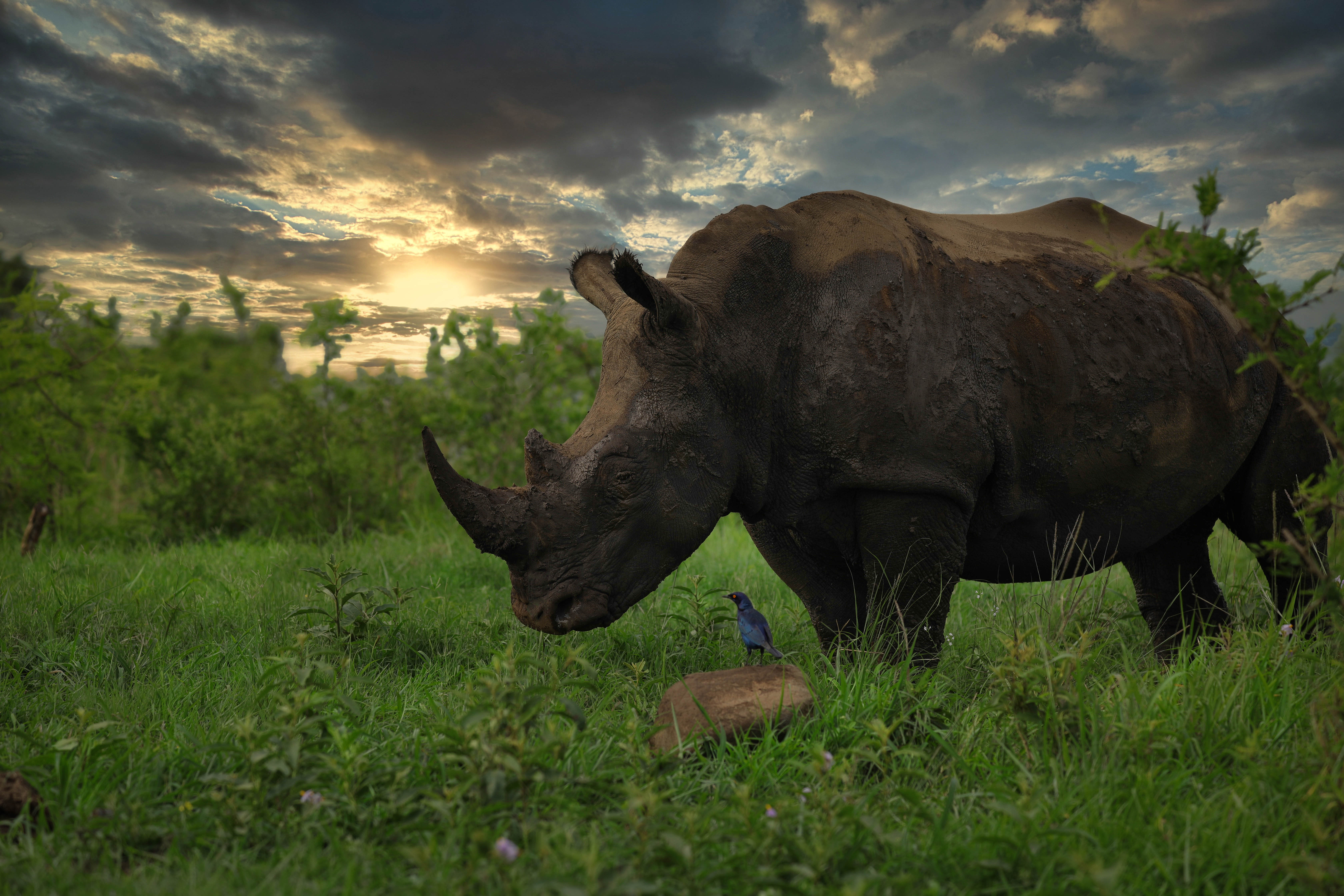 Hluhluwe, South Africa