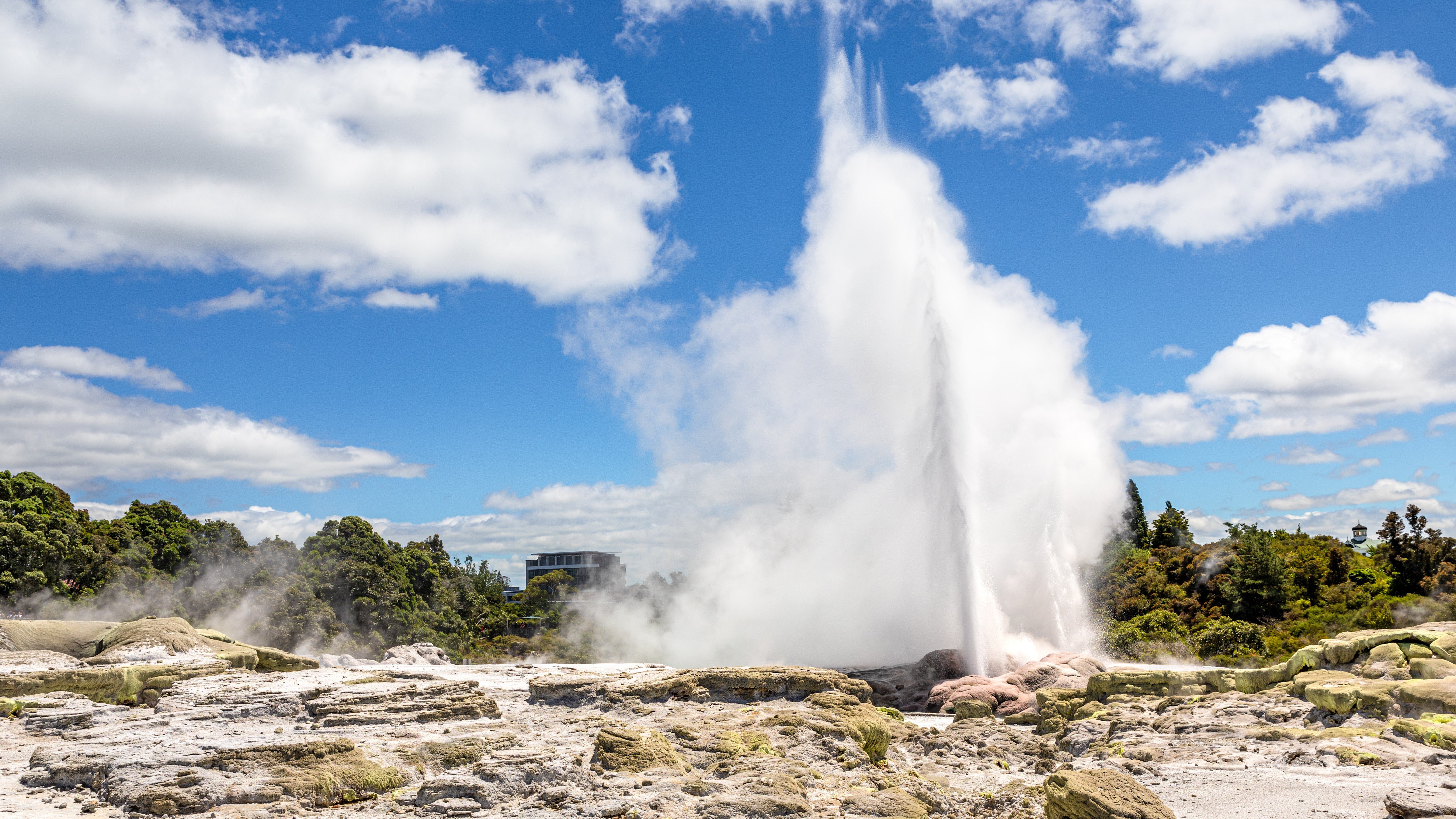 Whakarewarewa Thermal Valley, Rotorua