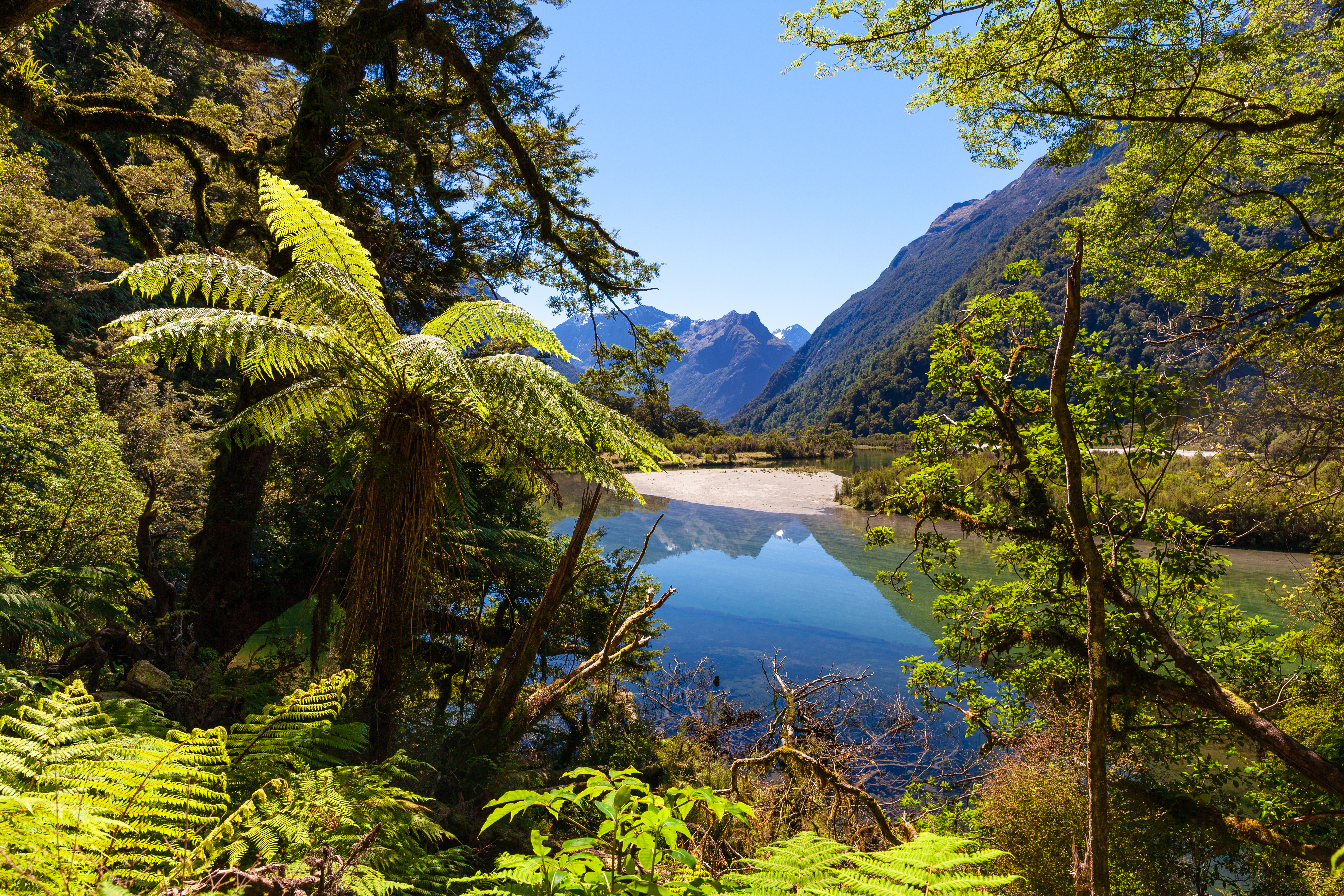 Fiordland National Park, next to the Milford Track, known as the finest walk in the World