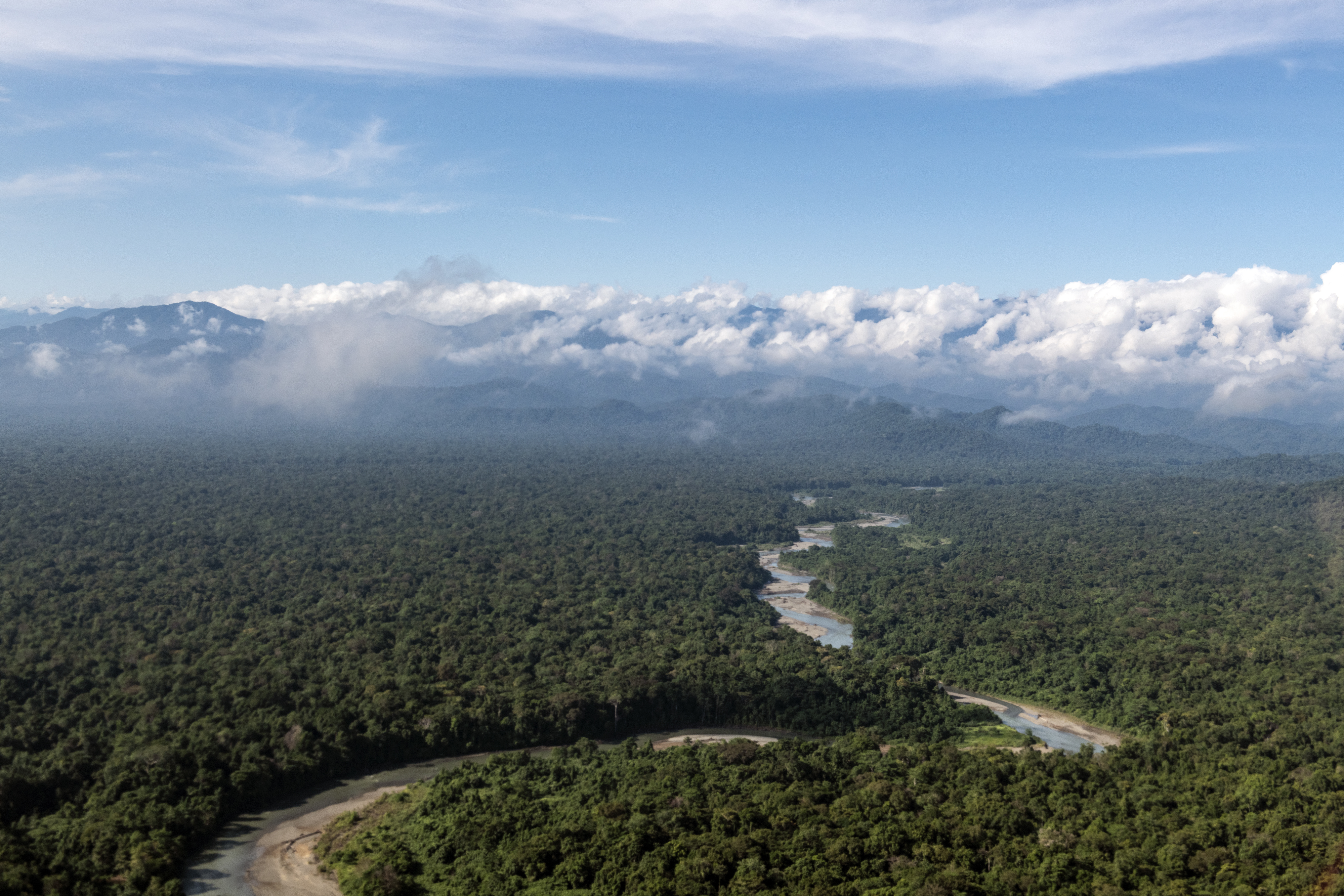 Aerial view of the Clay River in East Sepik Province