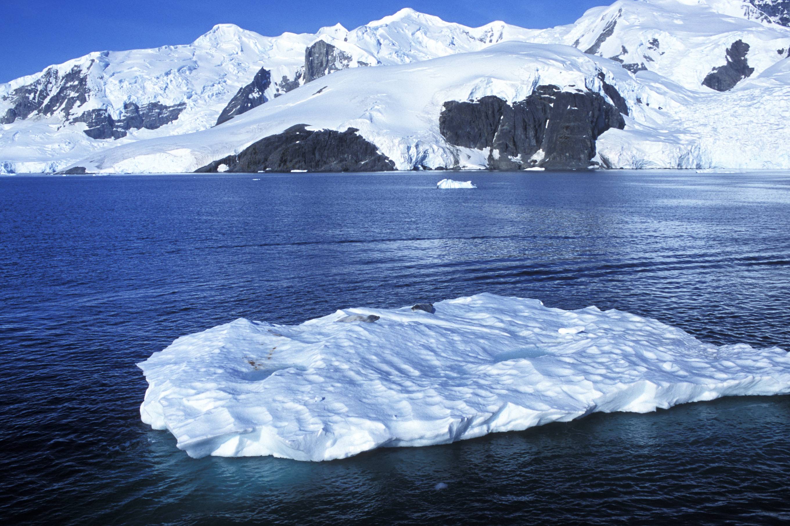 Snow and glacier covered peaks surrounding Antarctica bay