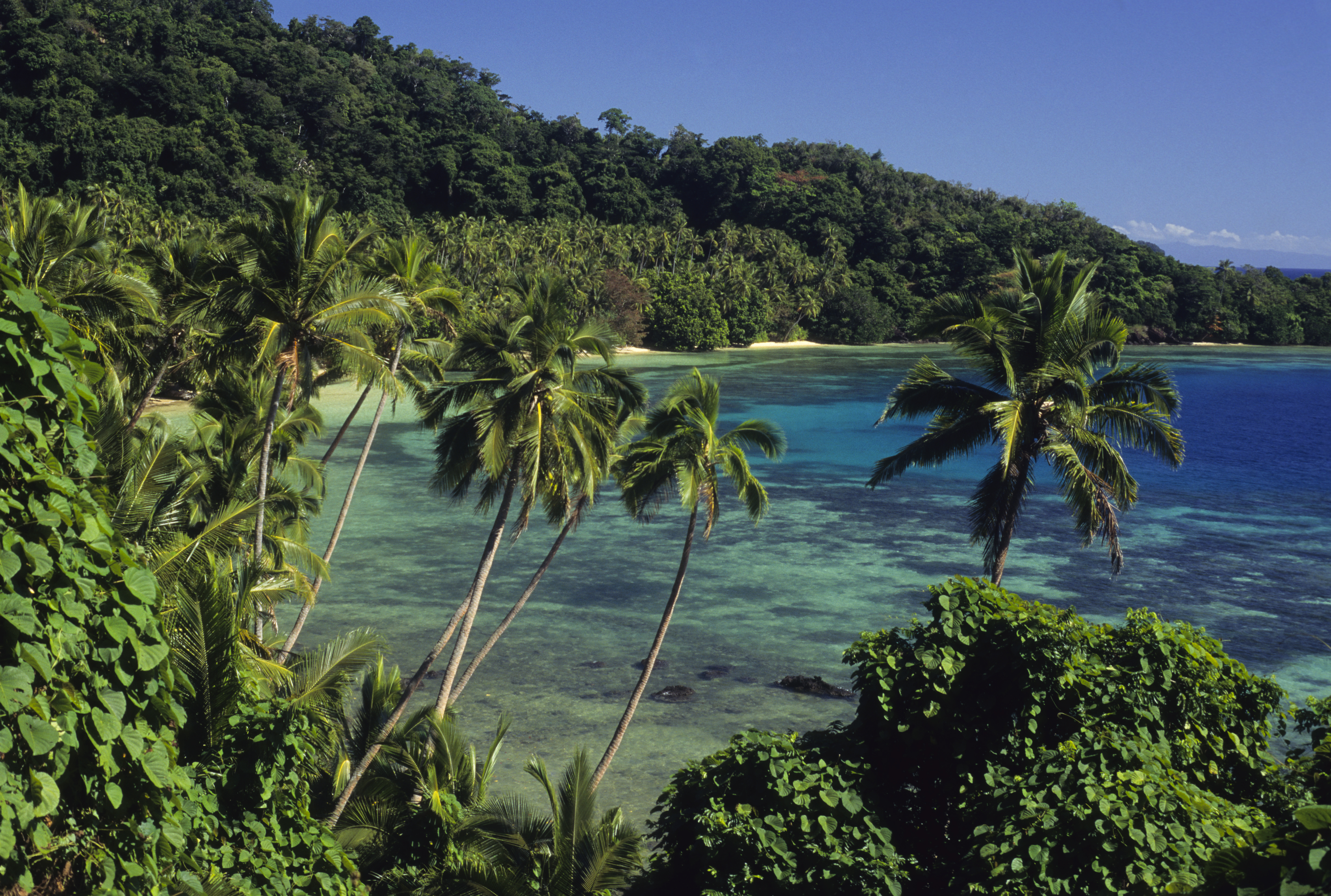 Island Beach scenic.