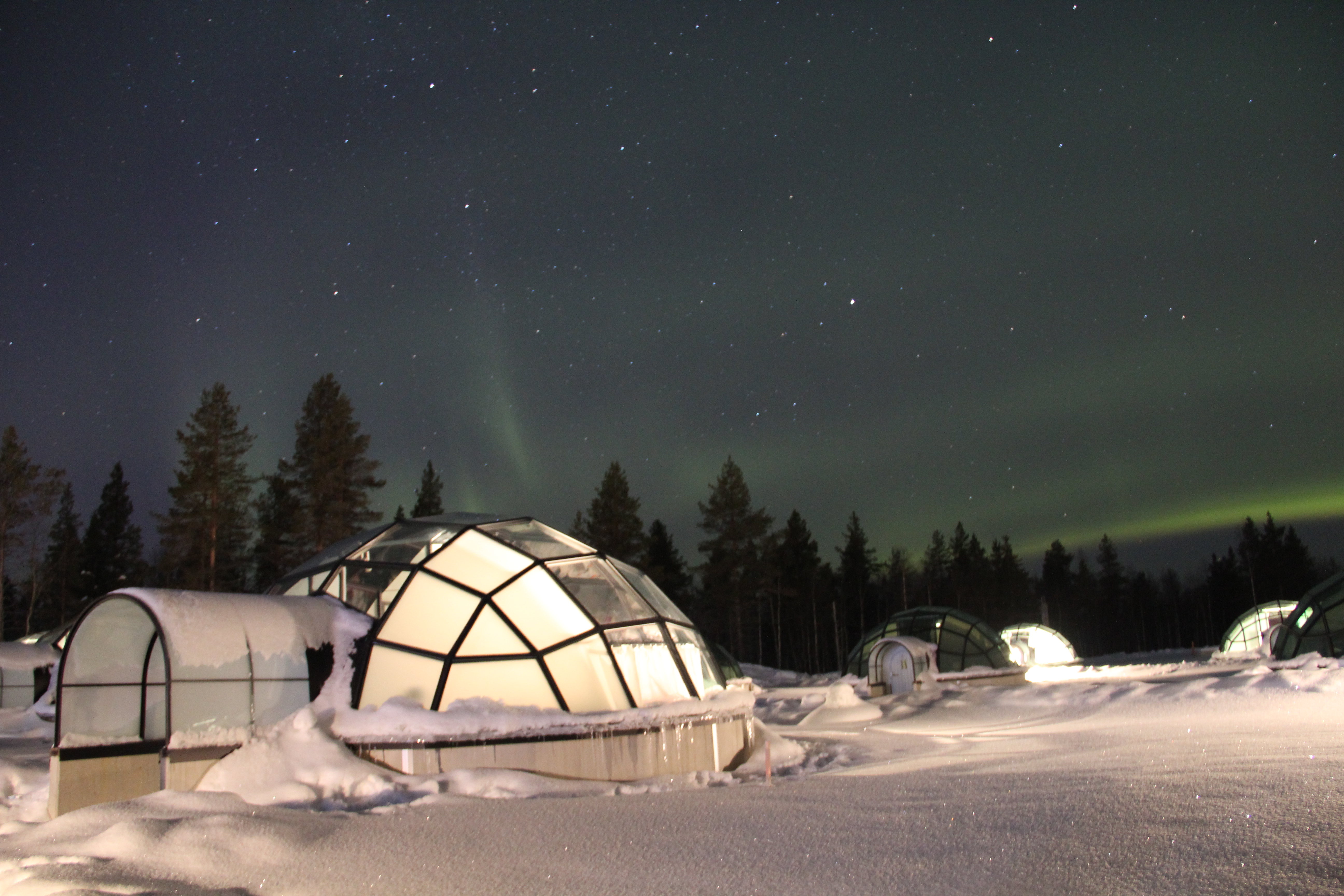 Northern Lights (Aurora Borealis) dancing above Glass Igloos in Lapland.
